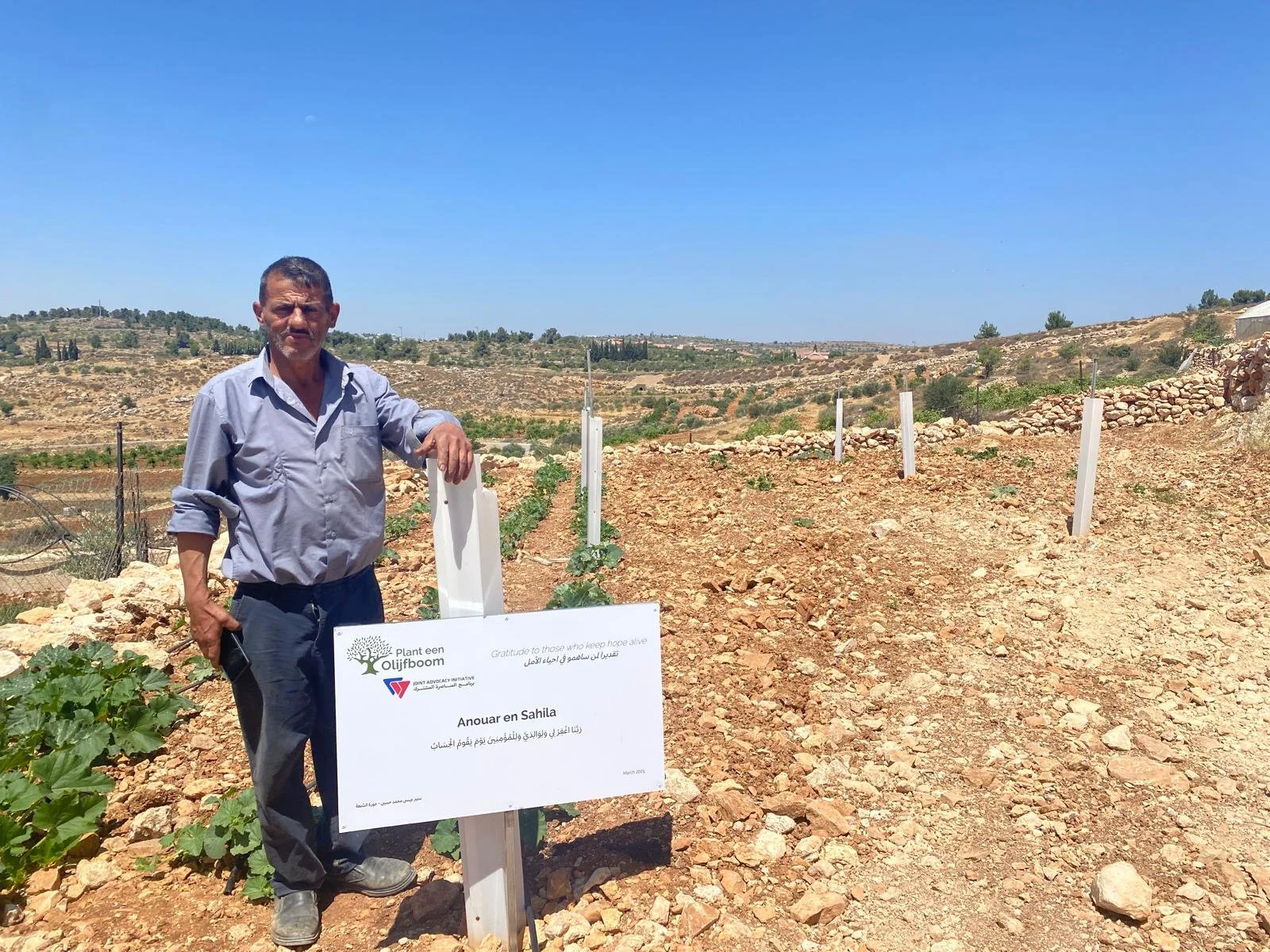The Olive Tree Project: Peaceful Resistance, Powerful Solidarity ...