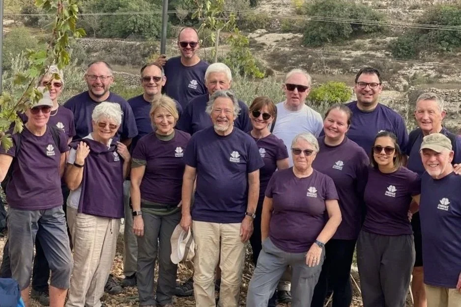Olive Harvest Volunteers