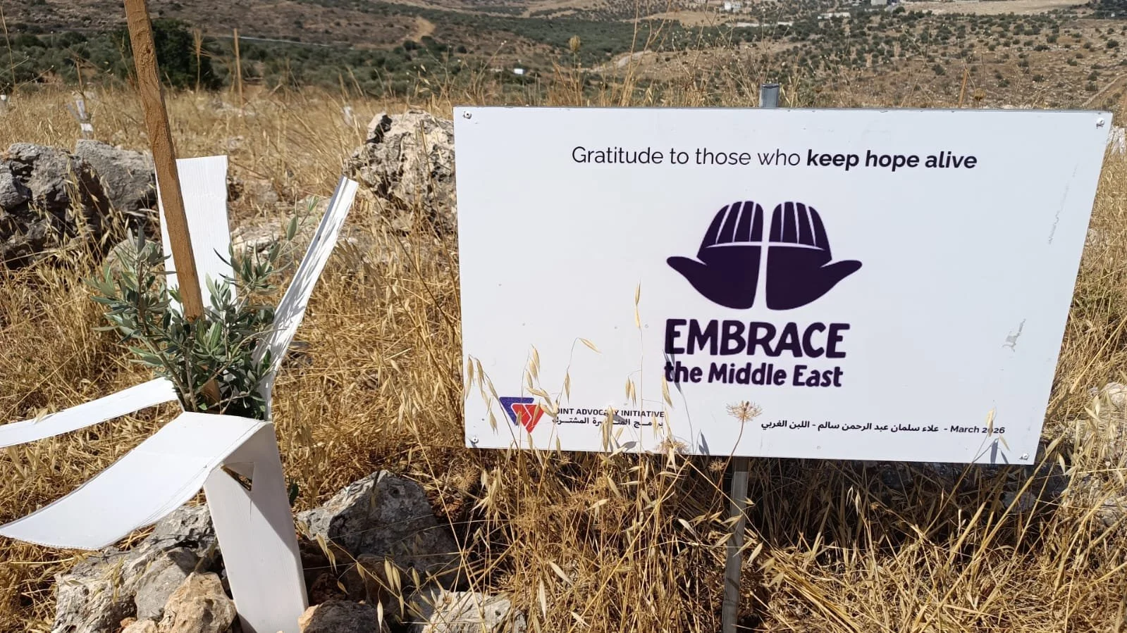 Olive Trees planted 2026 Al-Lubban Al-Gharbi, Ramallah 2.jpeg