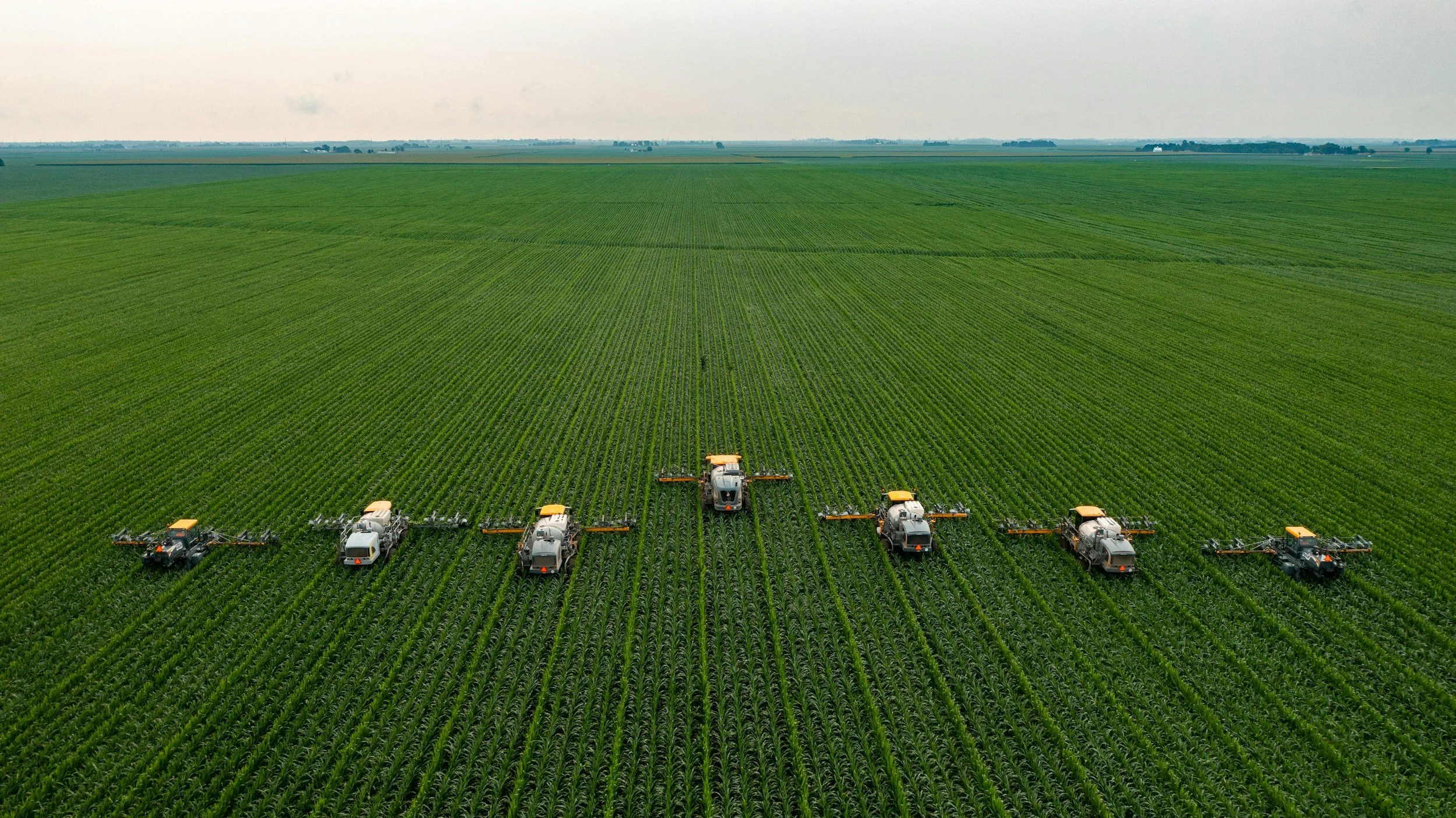 Building MBOLD: A Collaborative Vision for Food System Innovation