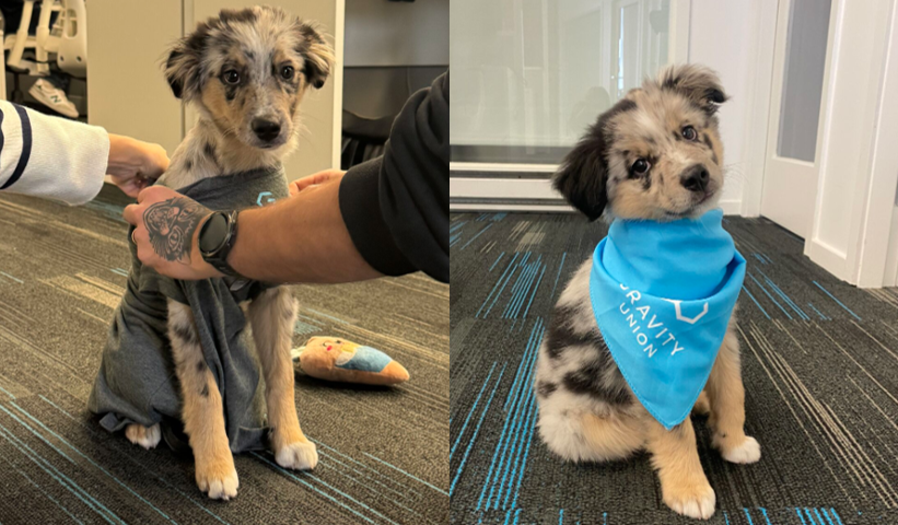 Screenshot 2025-11-20 105417.png