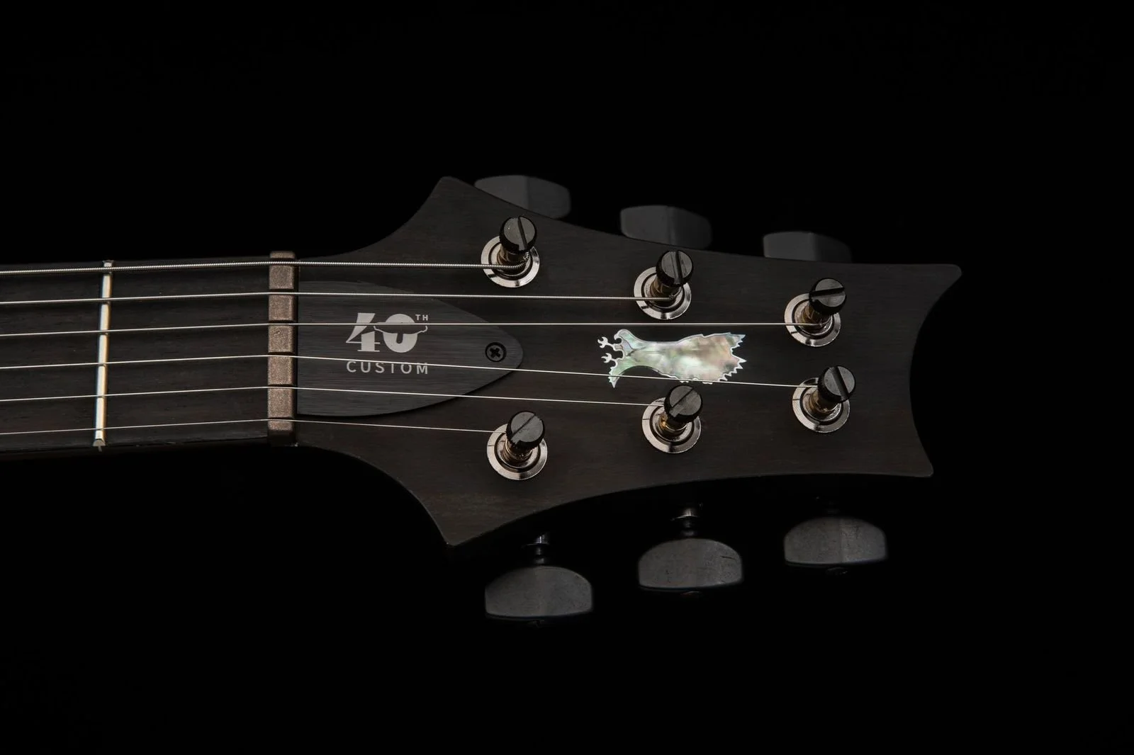 40th Anniversary Truss Rod Cover
