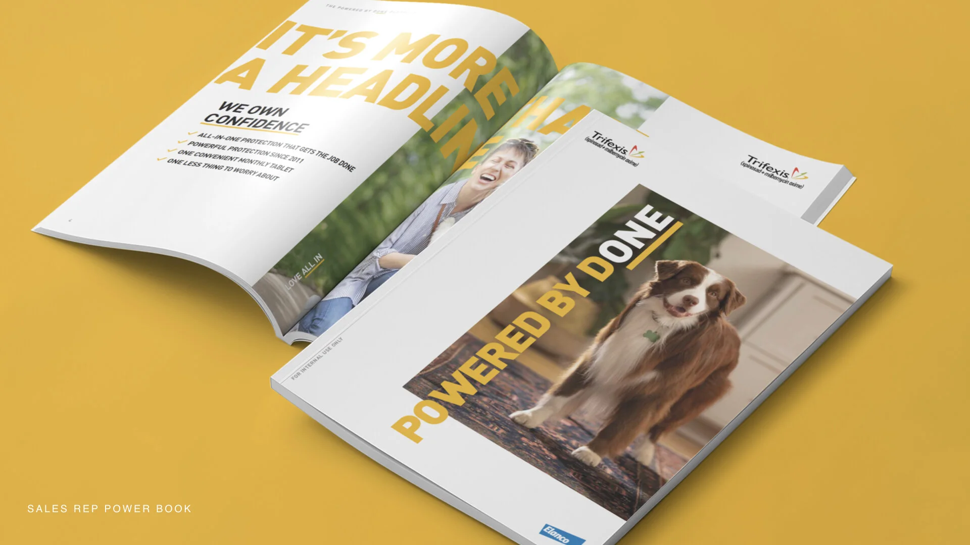 IN-CLINIC PRACTICE BROCHURE