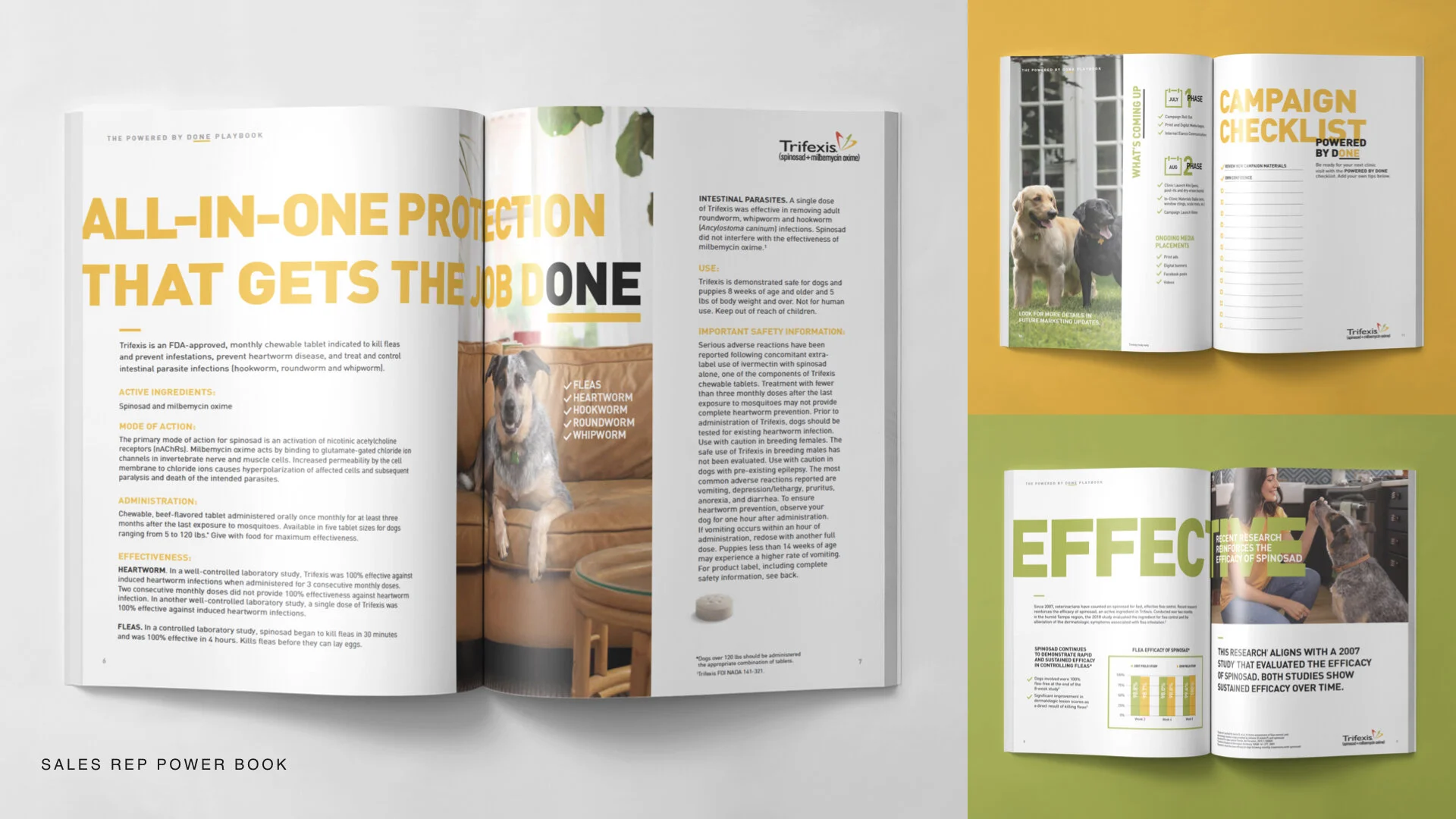 IN-CLINIC PRACTICE BROCHURE PAGES