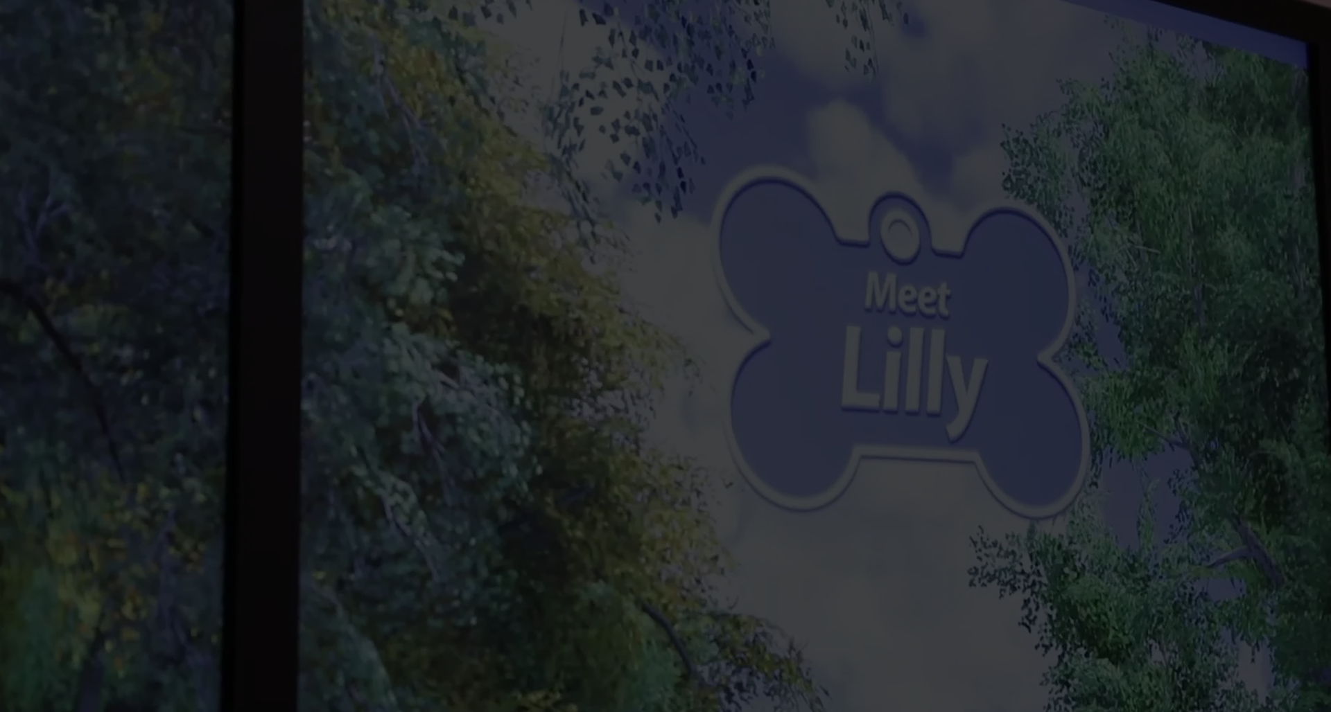 ELANCO 'LILLY' TECHNOLOGY CASE STUDY