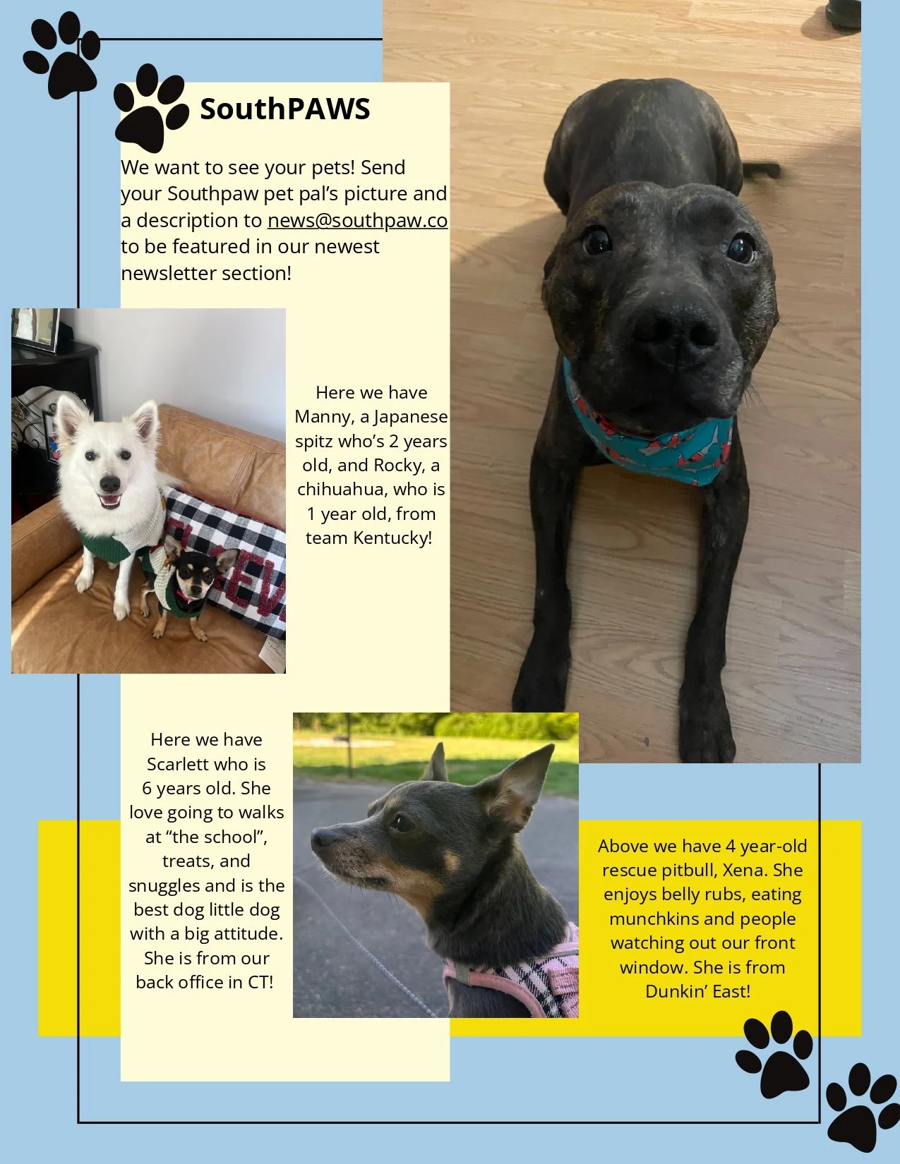 In Your Corner - June 2025_page-0008.jpg