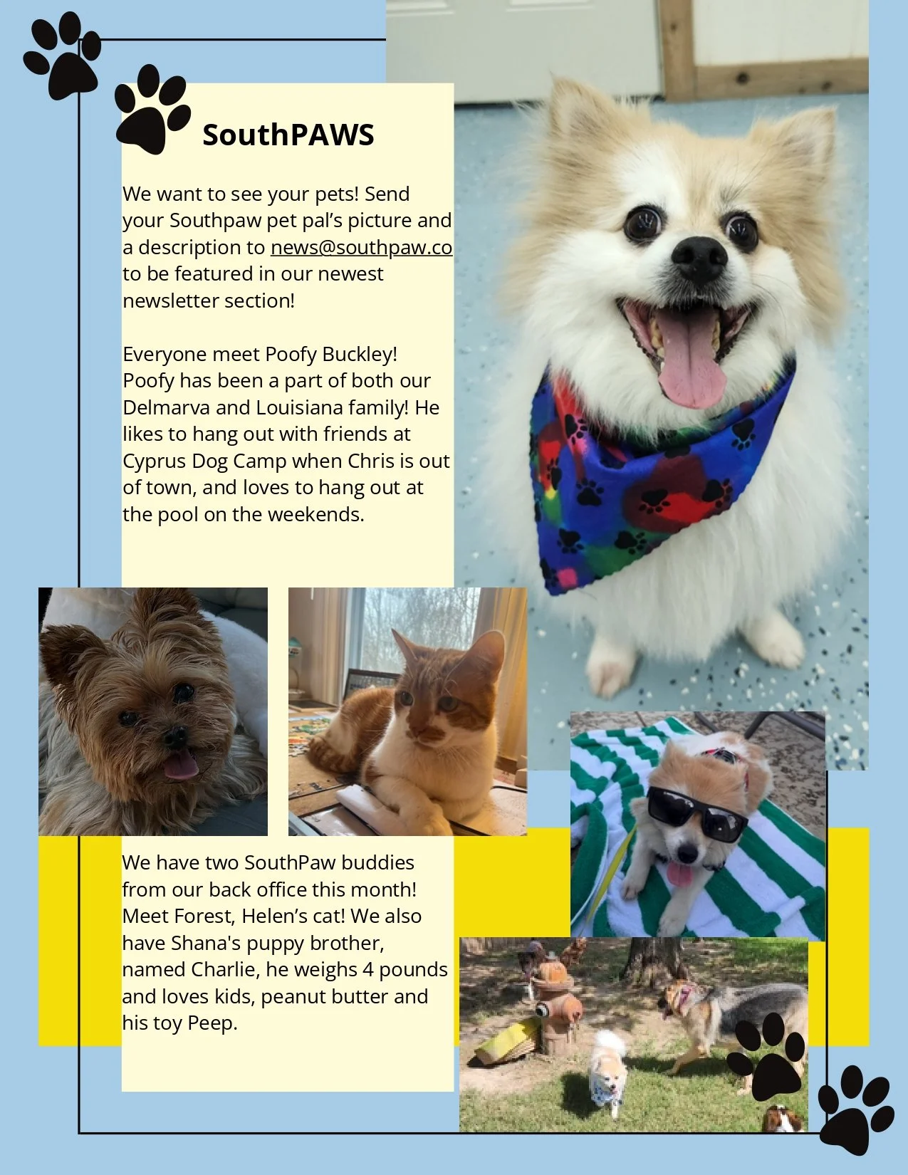 In Your Corner - July 2025_page-0008.jpg