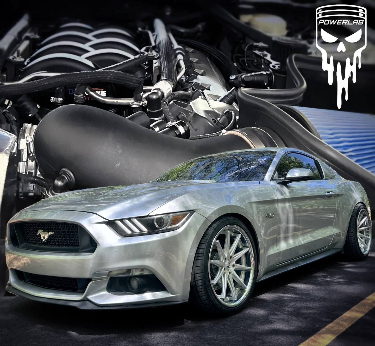 Another ported manifold install &amp; tune 🔧📈

Most are finished when the parts are on&mdash;not here. Every setup gets dialed with precision tuning backed by nearly a decade of hands-on experience and refinement. 

 
Get Dialed In Right | Link In 