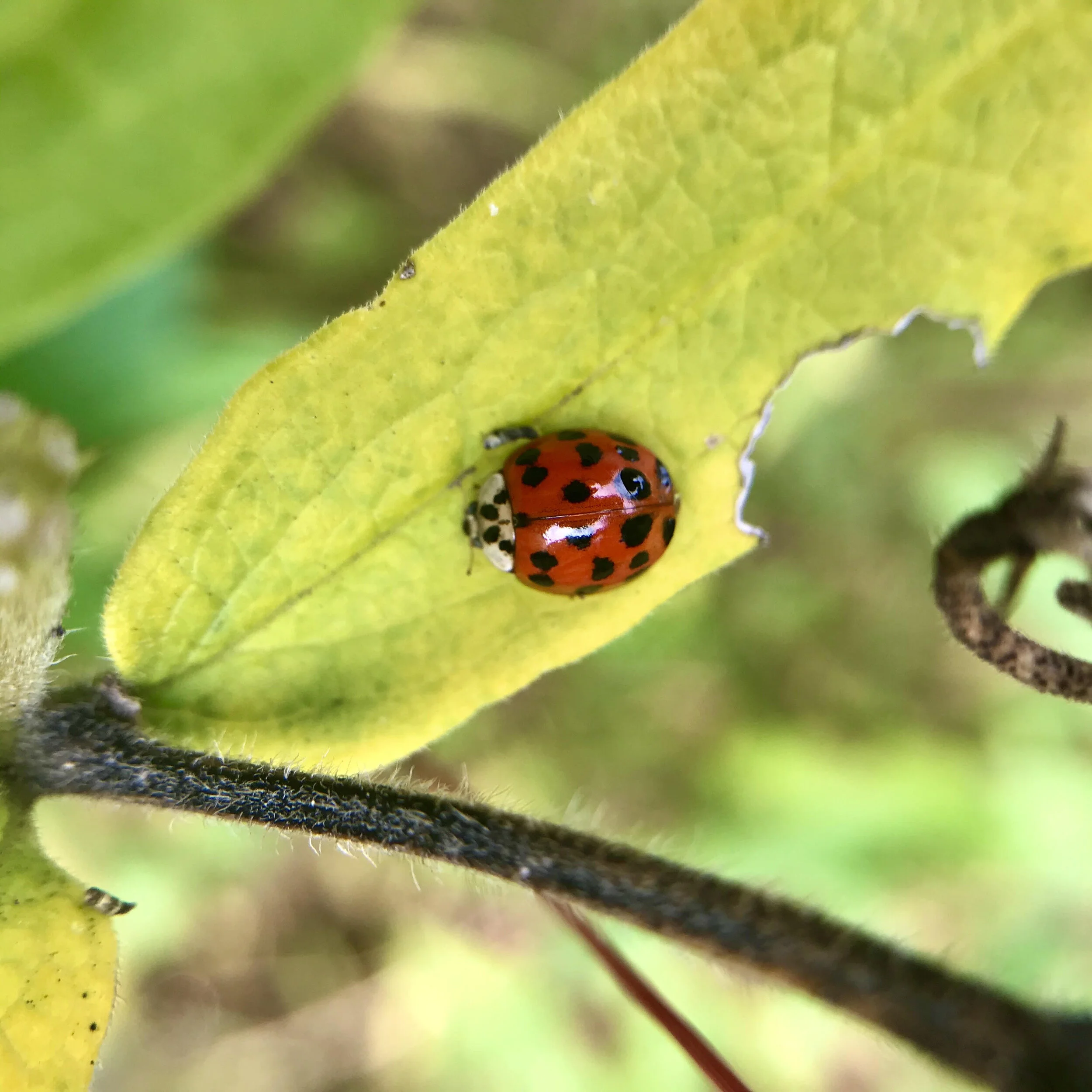Lessons from the field: Takeaways from 2013 and the challenges that lie ahead