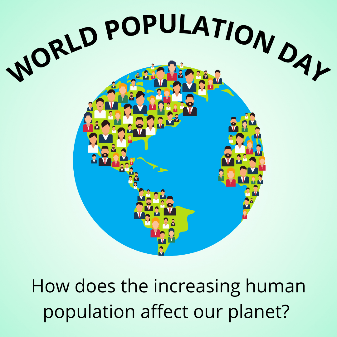 What is World Population Day? — Communitopia