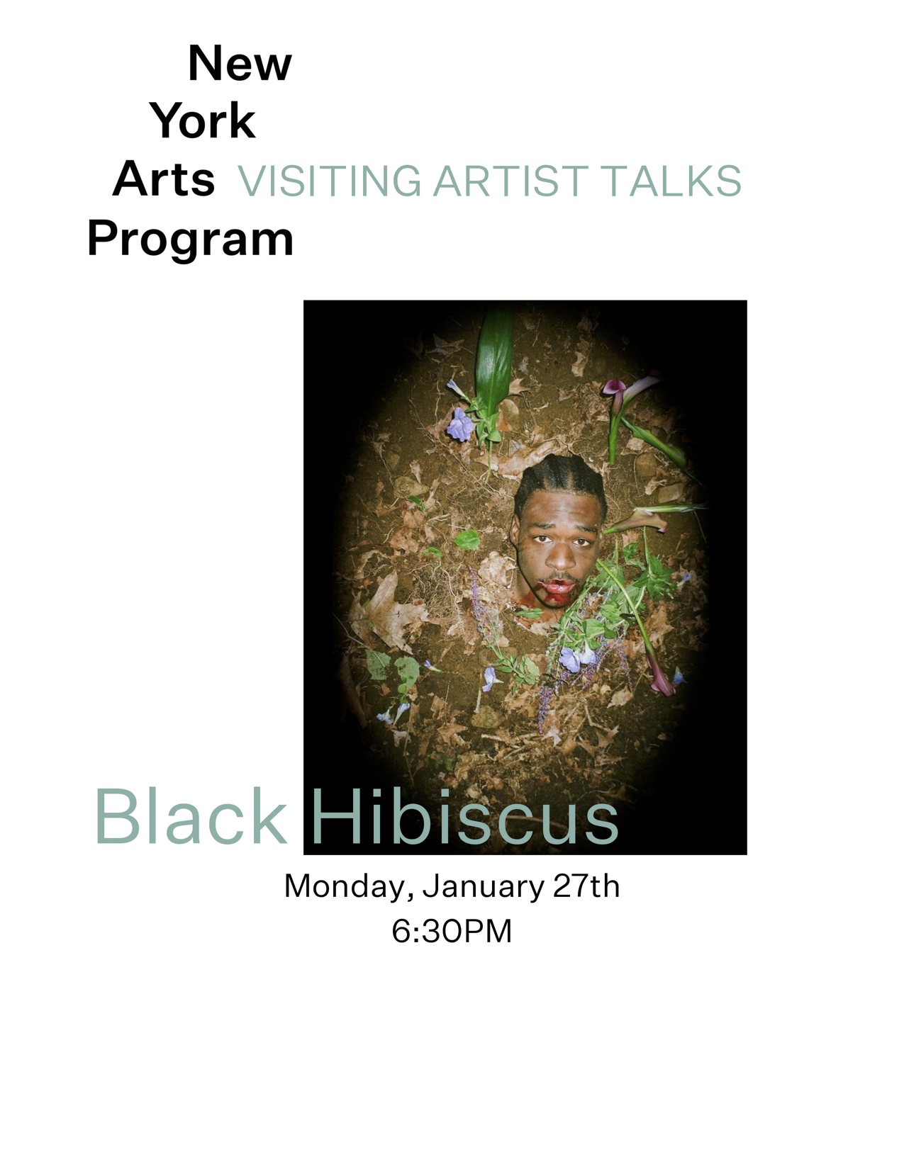 Artist Talk: Black Hibiscus — New York Arts Program