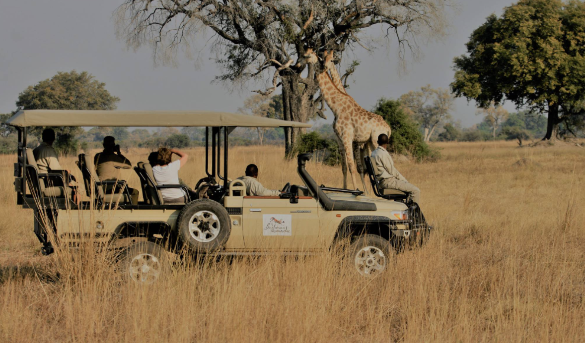Why you should Book a Safari ASAP!