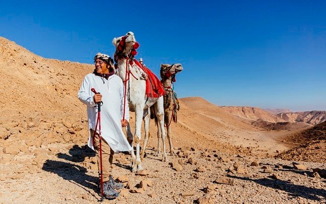 shaharut-israel-seffi_experience_manager_and_camels_2.jpg