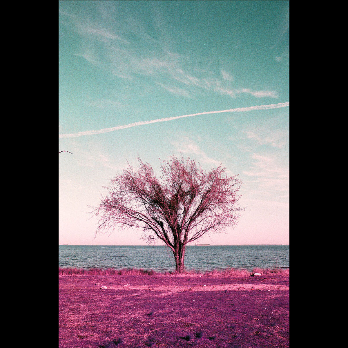 Untitled-1_0002_Layer 23.jpg