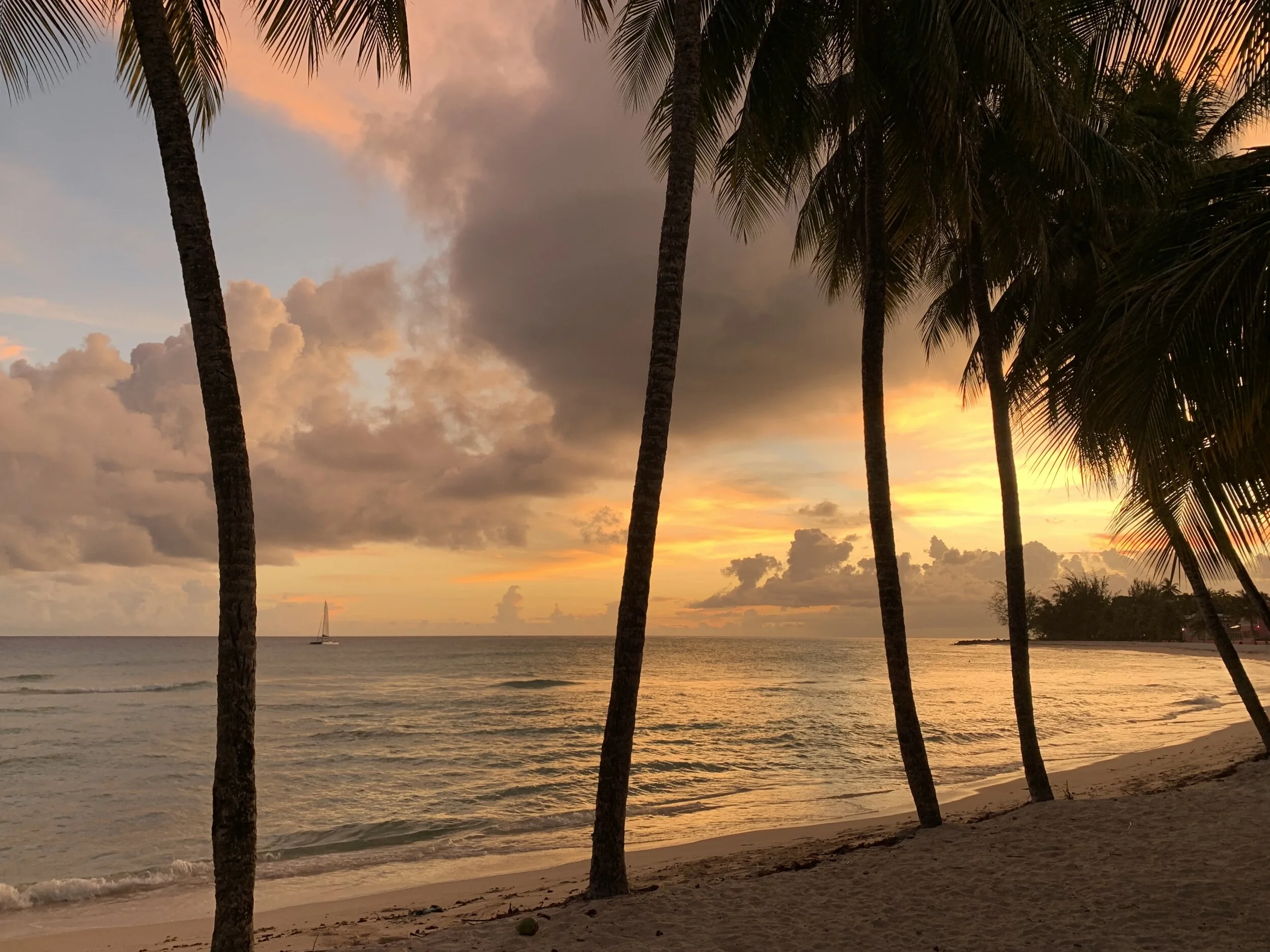 How many different sunsets will you see? 