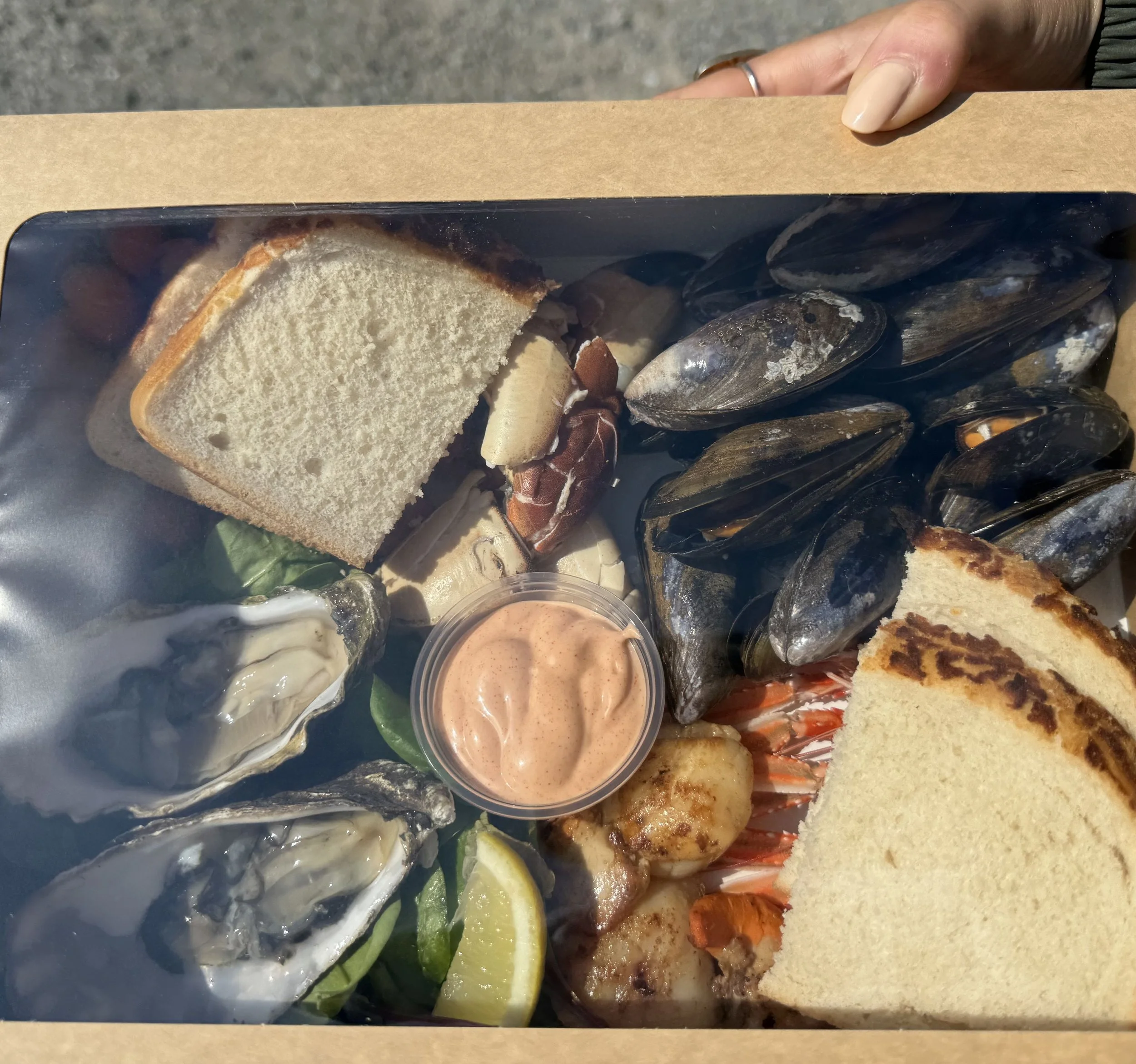shellshack.jpg