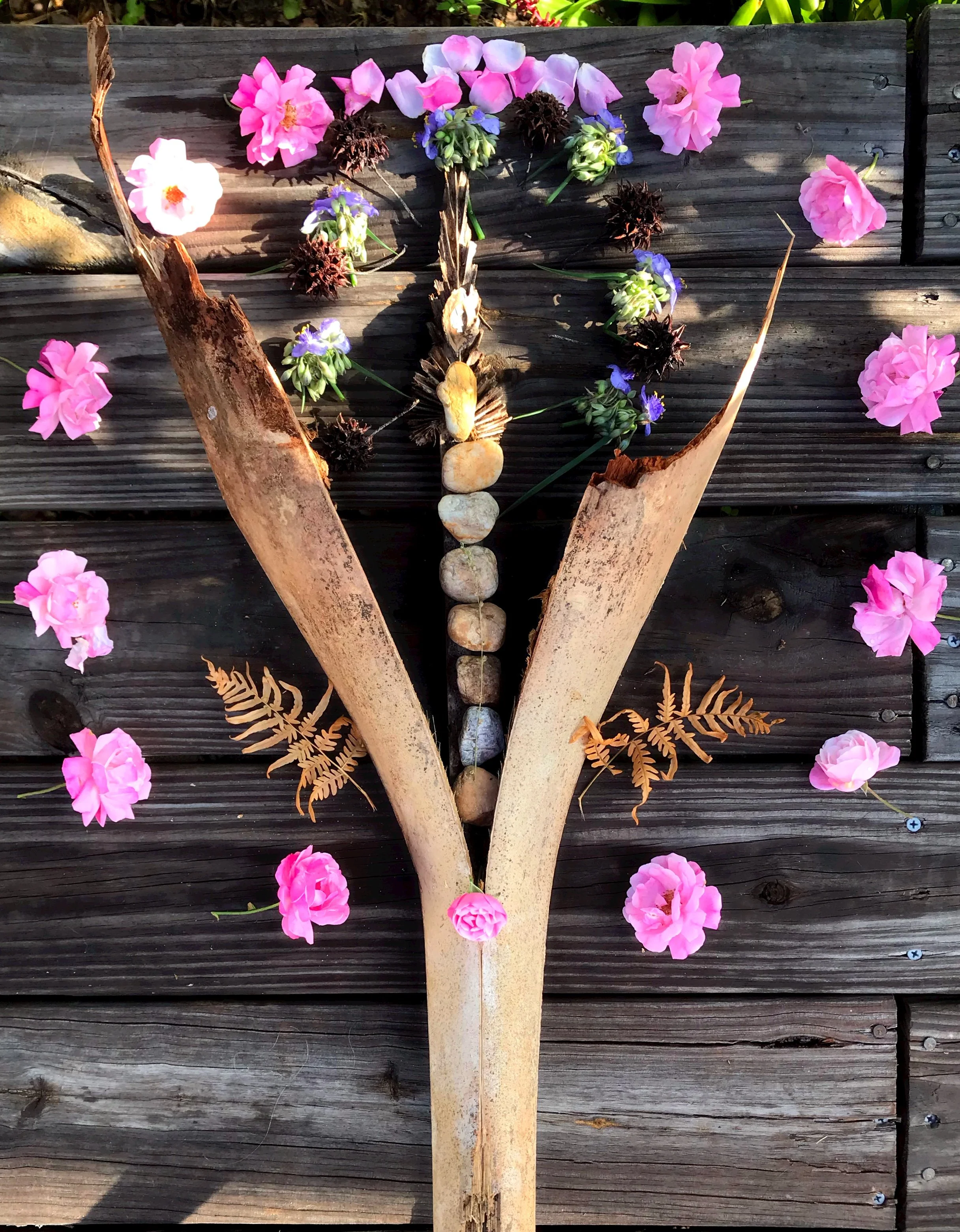 The Art of Nature Self Care at Sweet Basil Farm