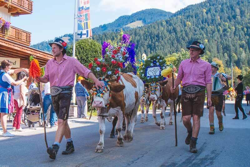 Almabtrieb - the cutest cow festival in Tirol — Carly Hulls— Squarespace  templates and free resources for creative entrepreneurs.