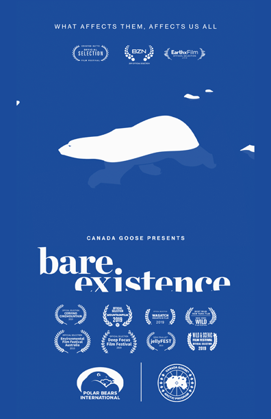 /projects-2/canada-goose-bare-existence