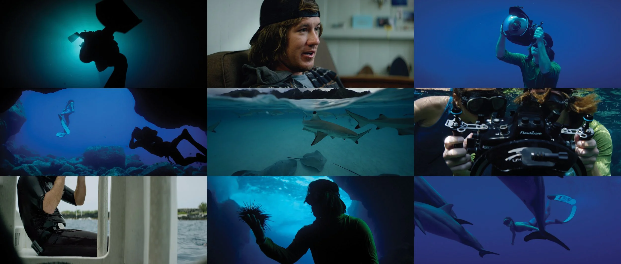 CHACO A View From Below web frame.jpg