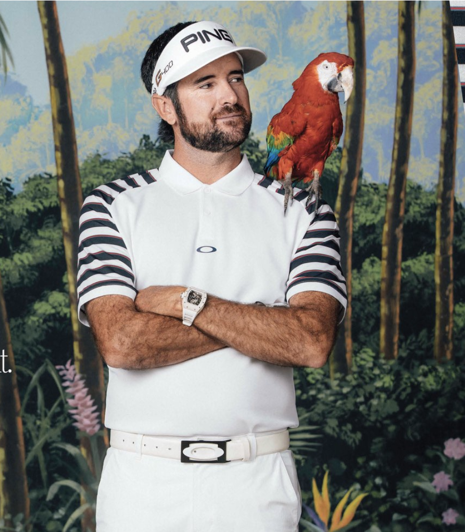 /projects-2/bubba-birdie-2