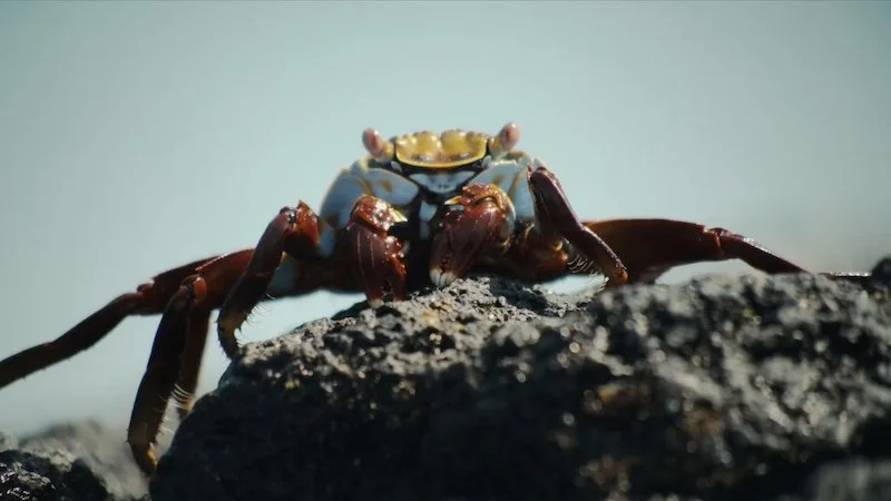 /projects/natgeo-expedition