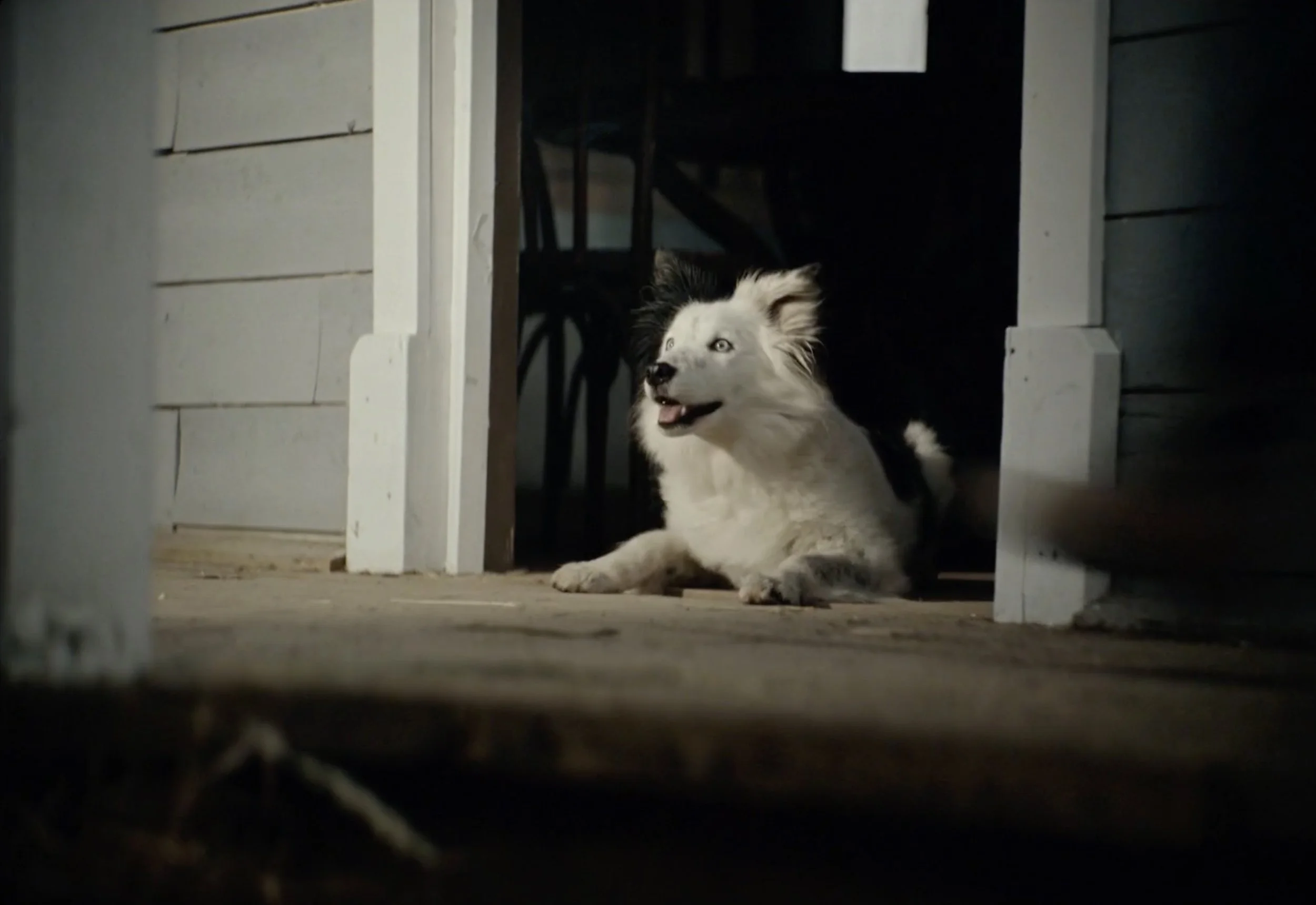 /projects-2/2tw8n62elrsgs2cvx7yv84swbc4dff