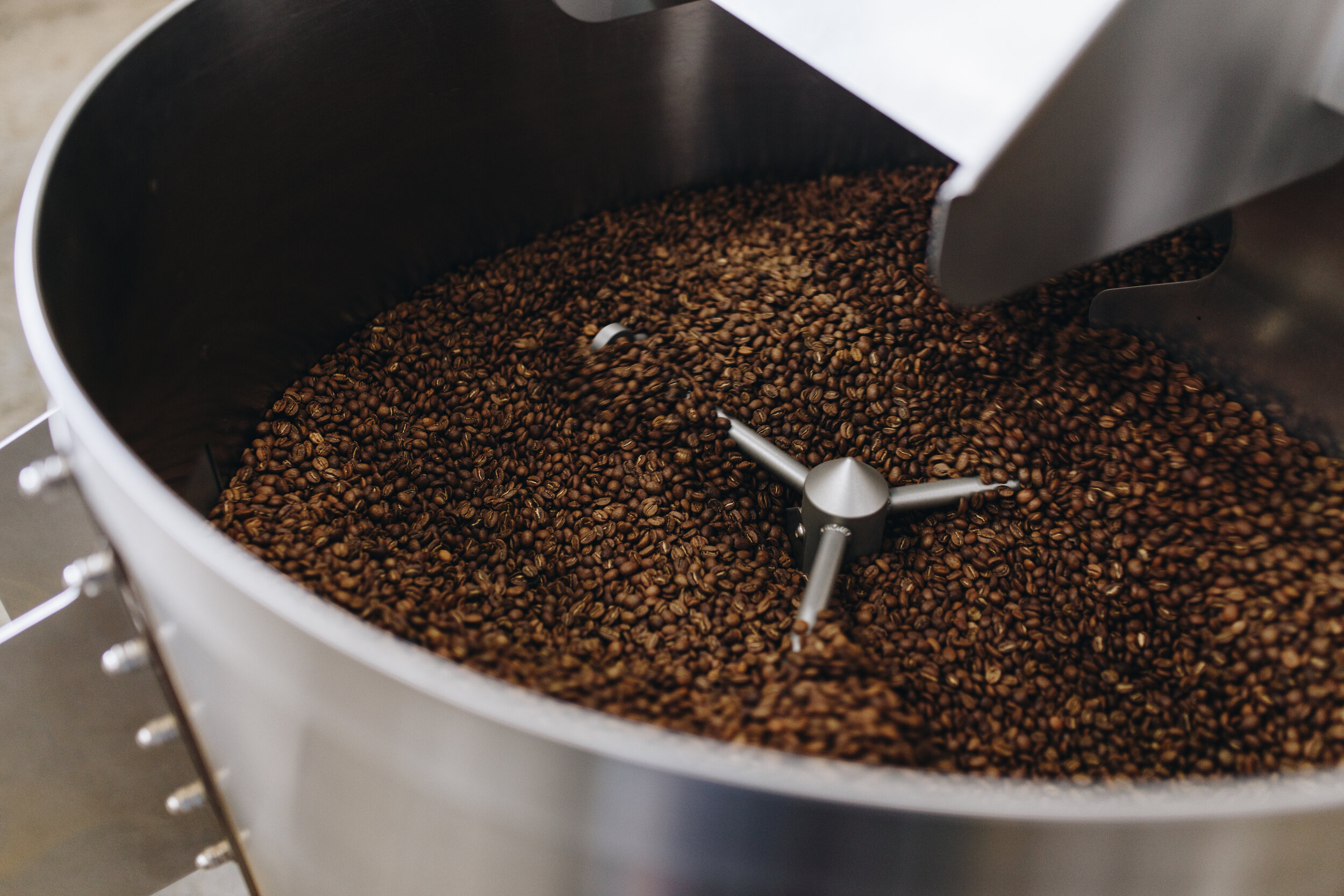 Bold Bean Coffee Roasters Beautiful Coffees for the Bold at Heart