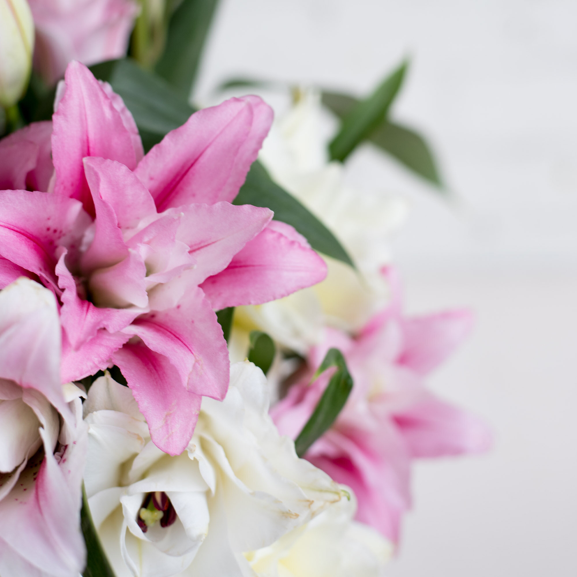 A closeup of pink and white lilies