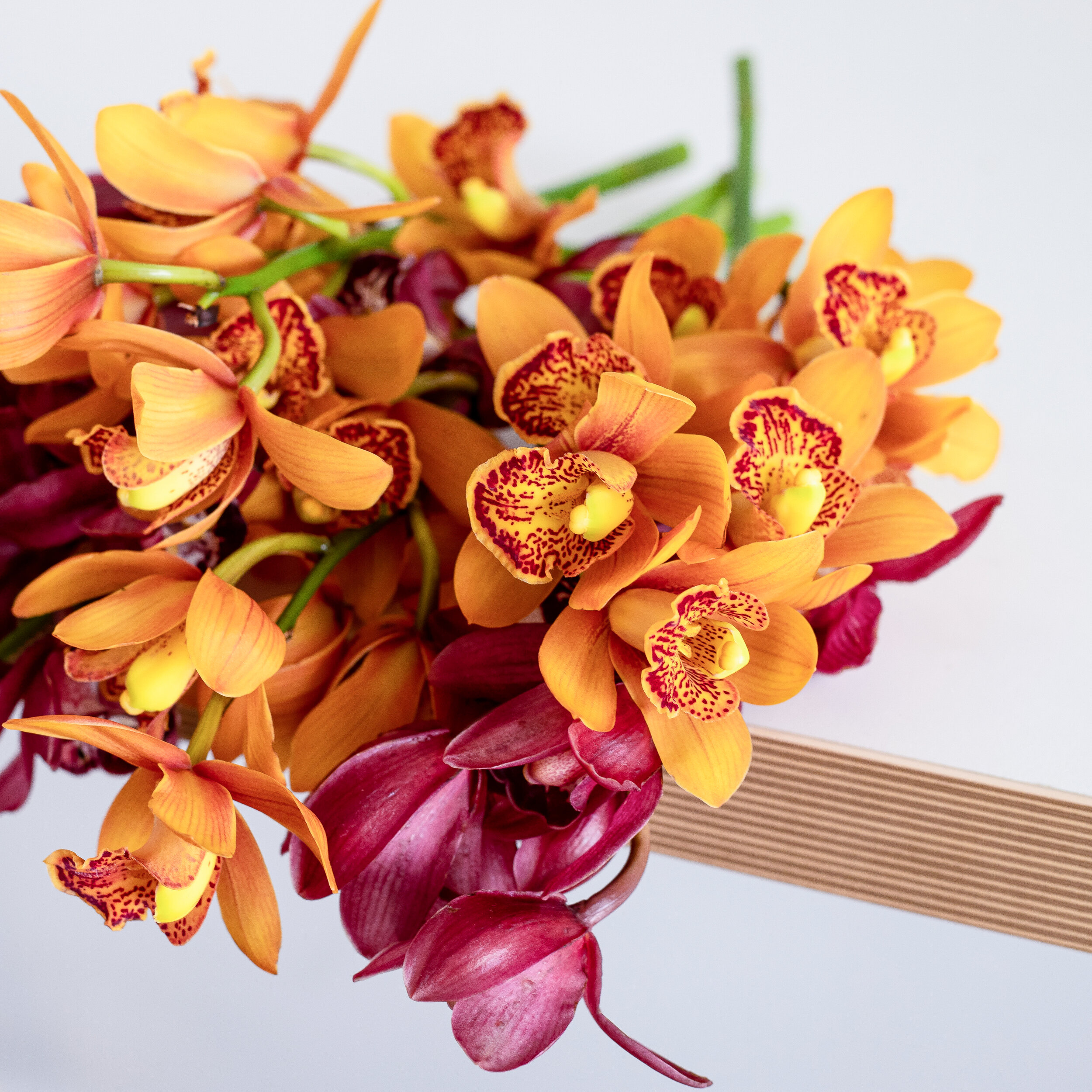 A close up of dusty pink, golden yellow, and ivory orchids