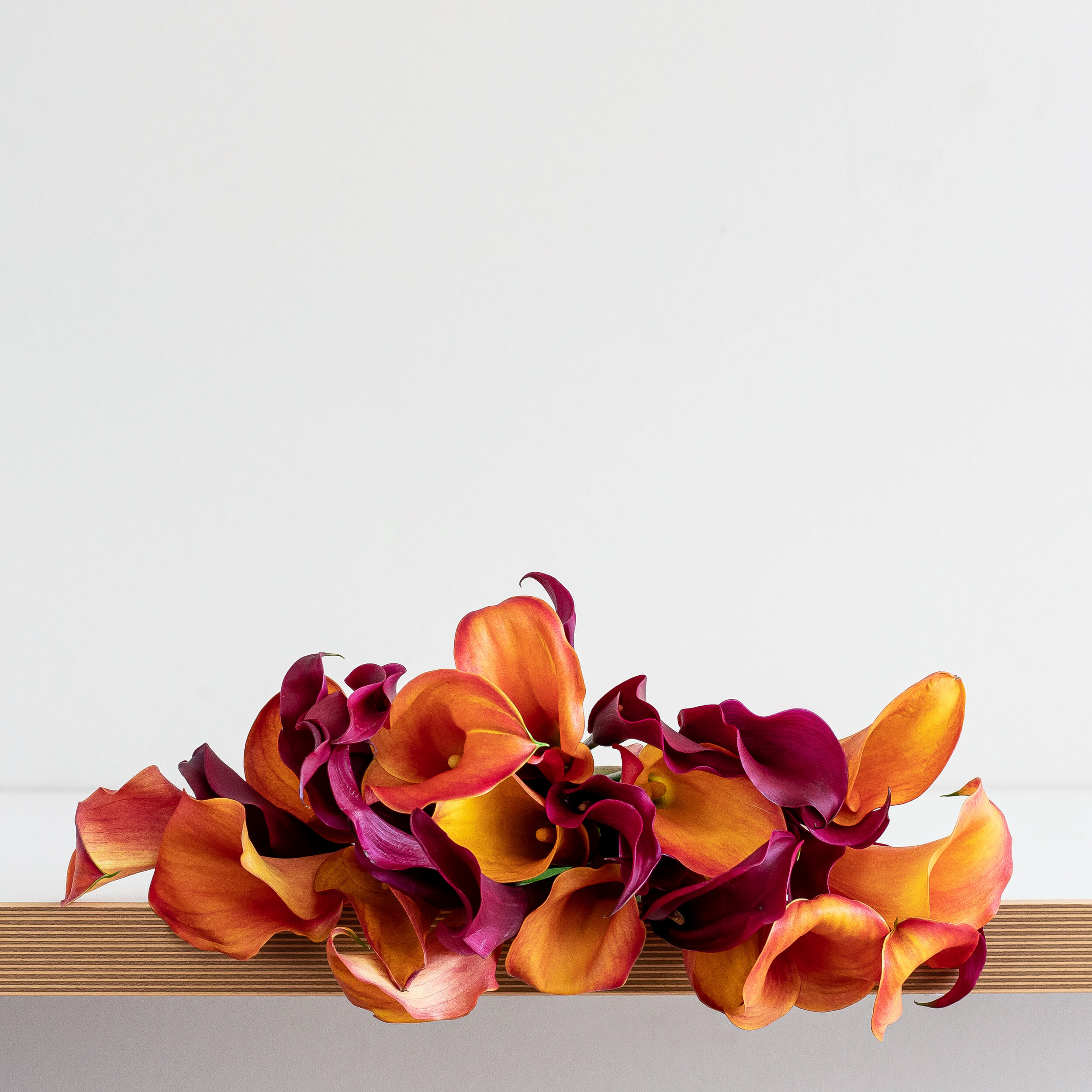A closeup of purple and orange calla lilies laying flat on a table top