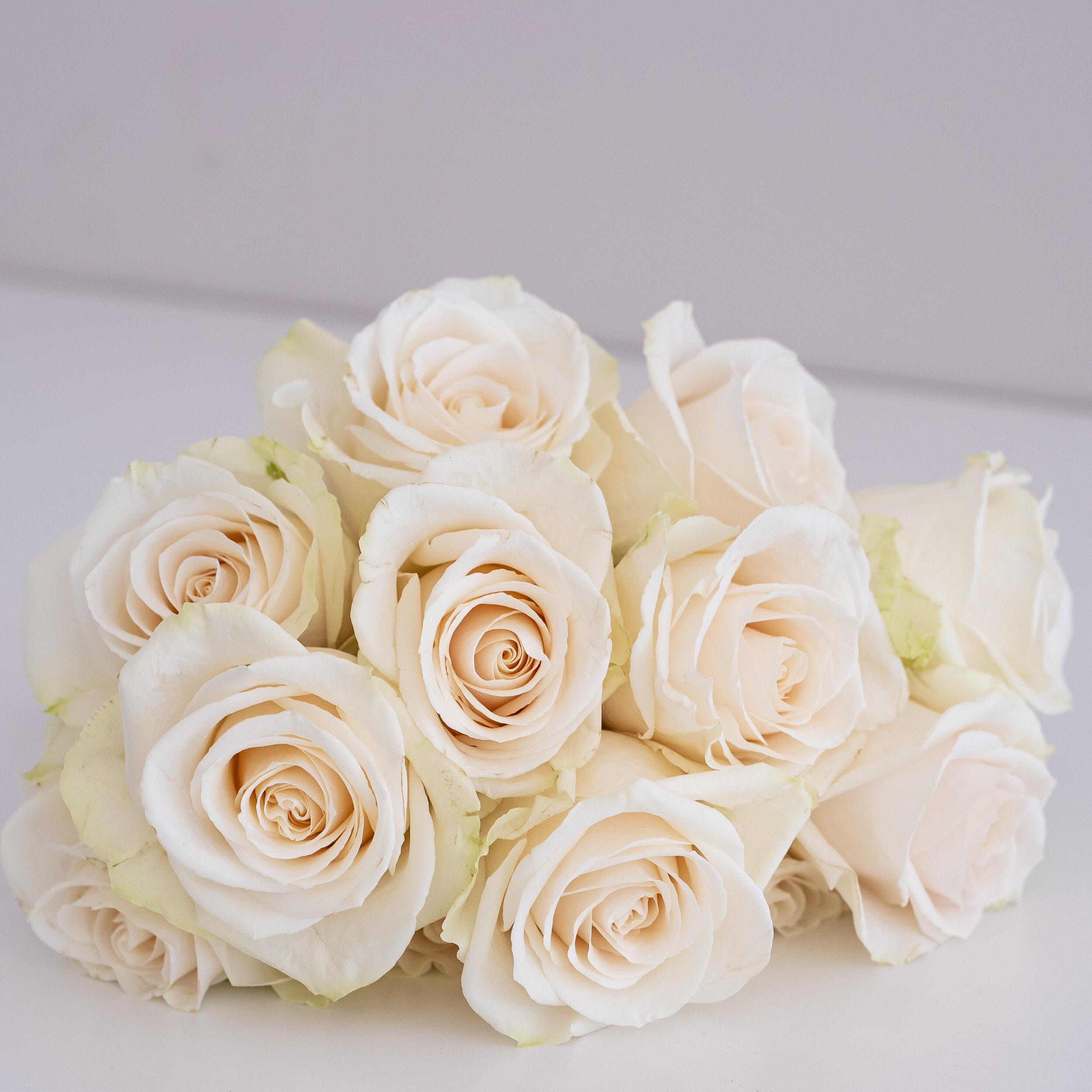 A close up of several white roses laying on a table
