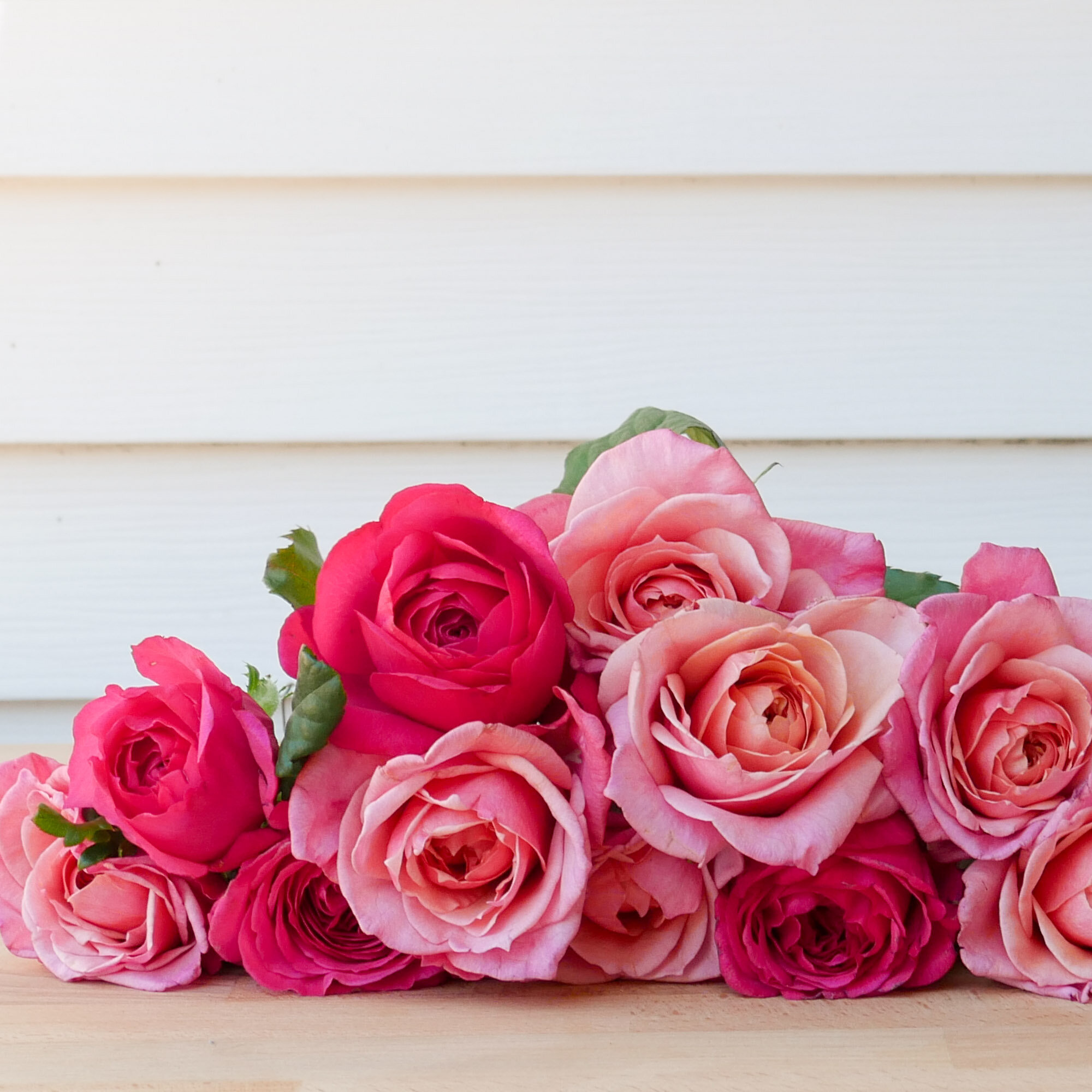 A close up of several pink roses laying on a table
