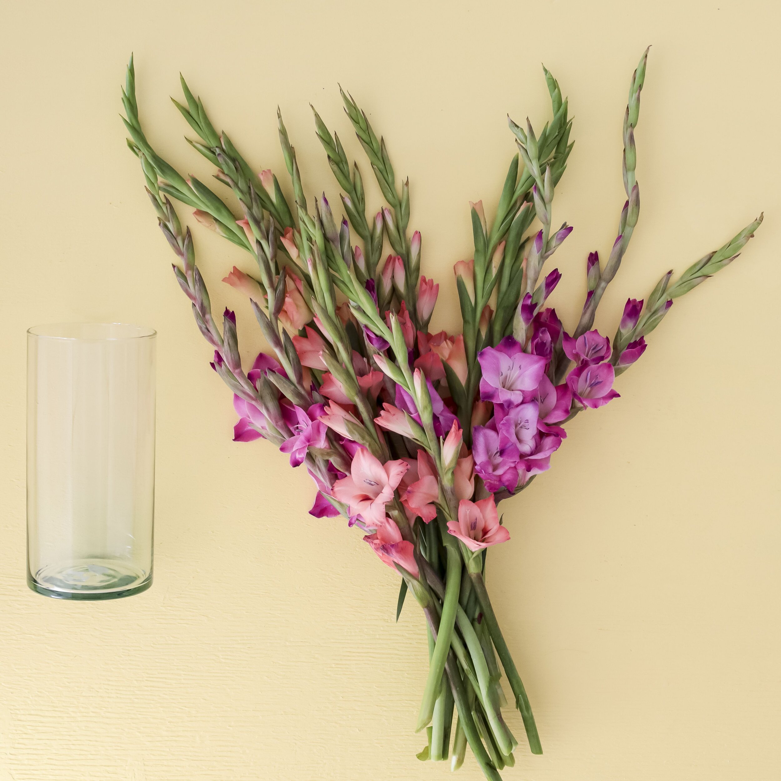 Stems of light and dark pink gladiolus laying on a yellow background with a clear vase beside it