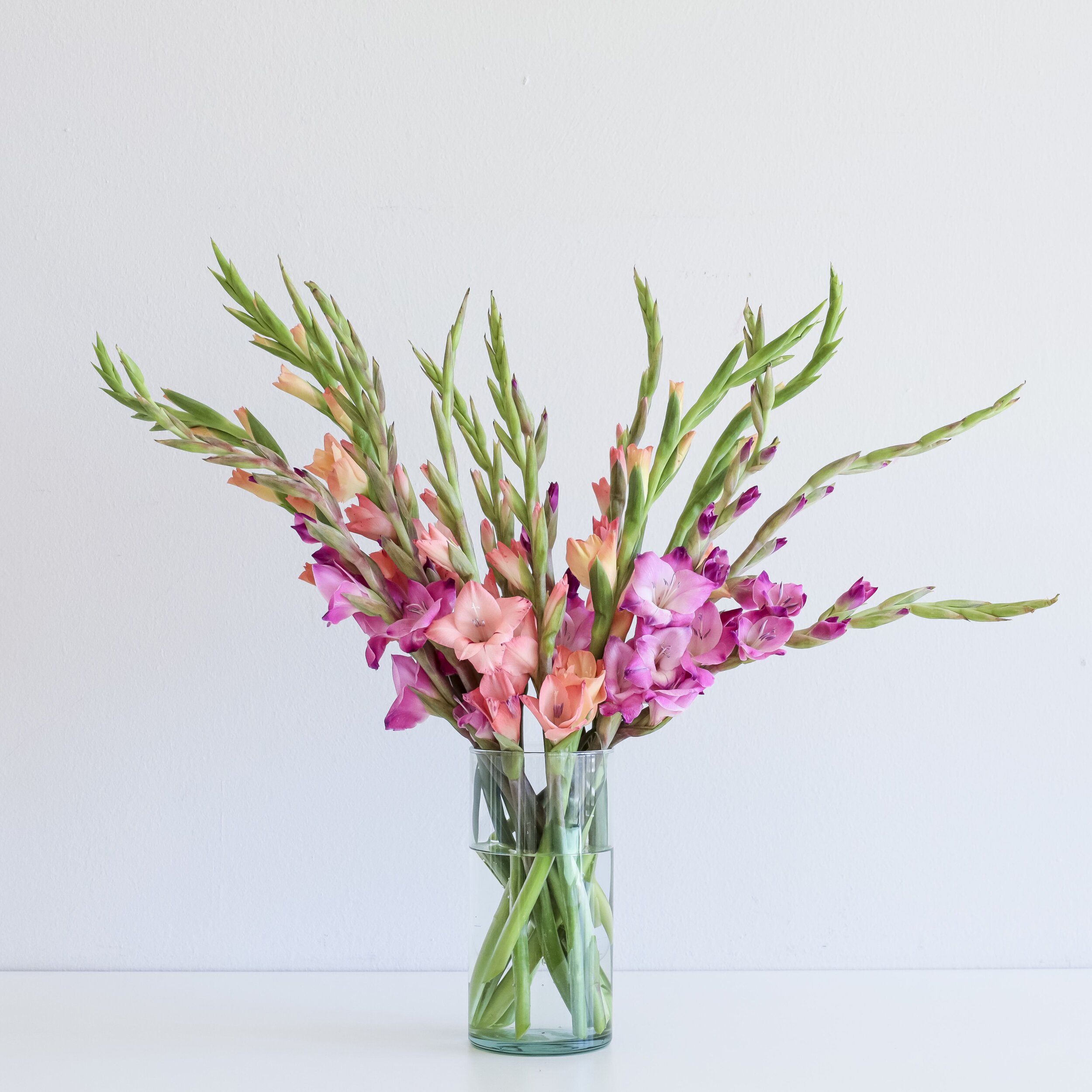 A fower arrangement of light and dark pink gladiolus stems in a clear vase with water