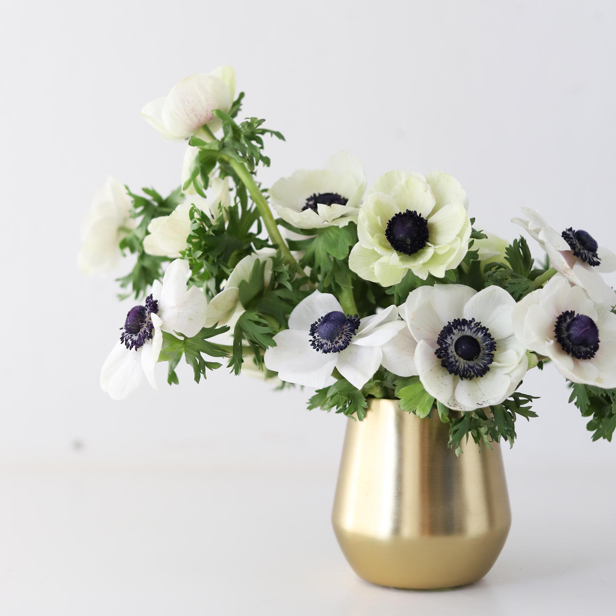 A bouquet of white Anemones in a gold vase