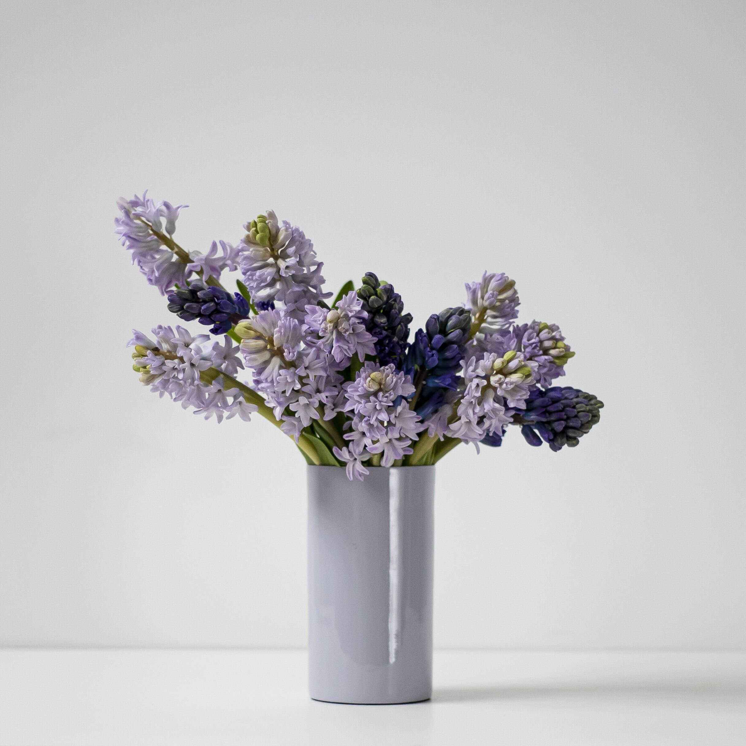 Stems of light purple and dark purple Hyacinth stems sitting in a lavender purple vase