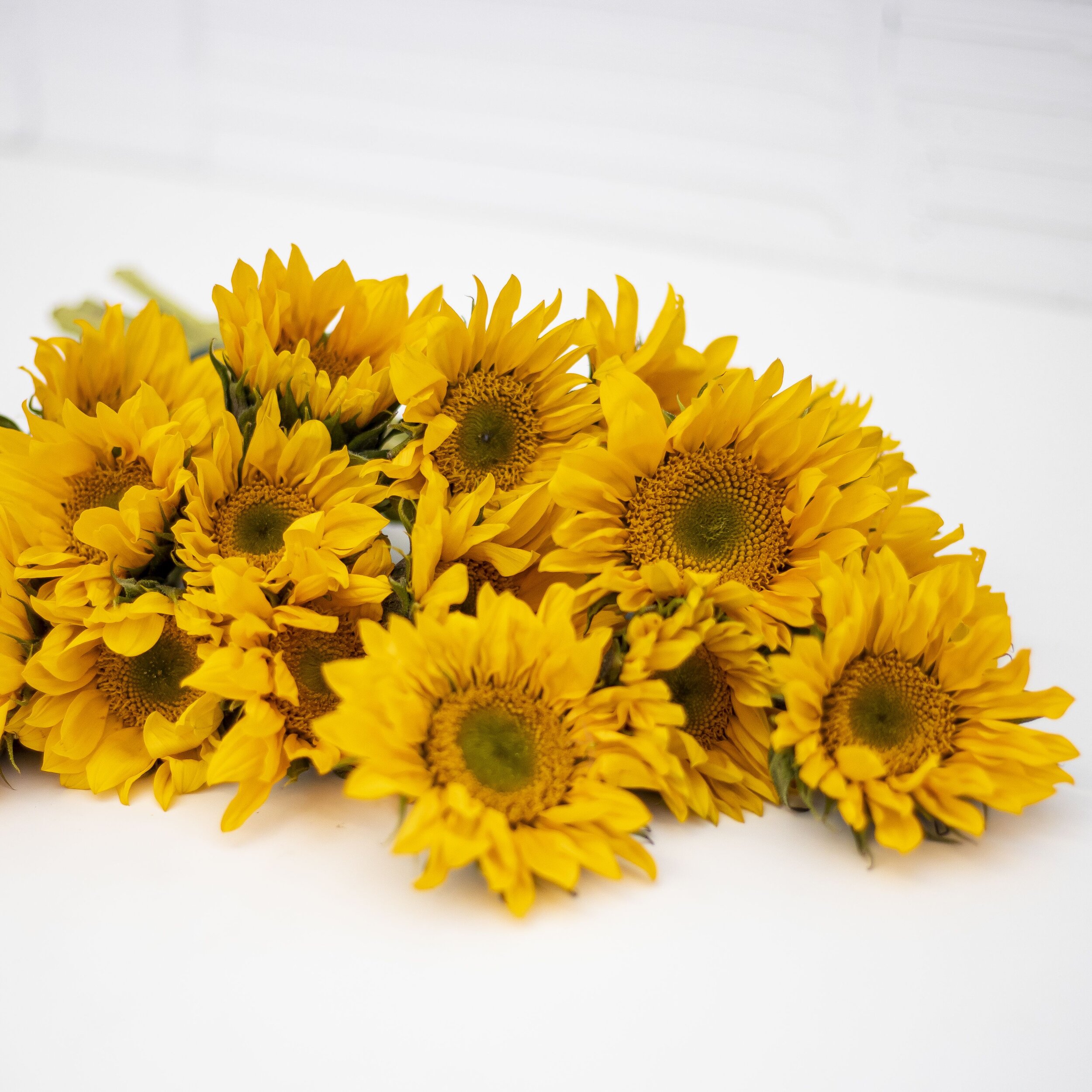 Sunflowers Flower Care