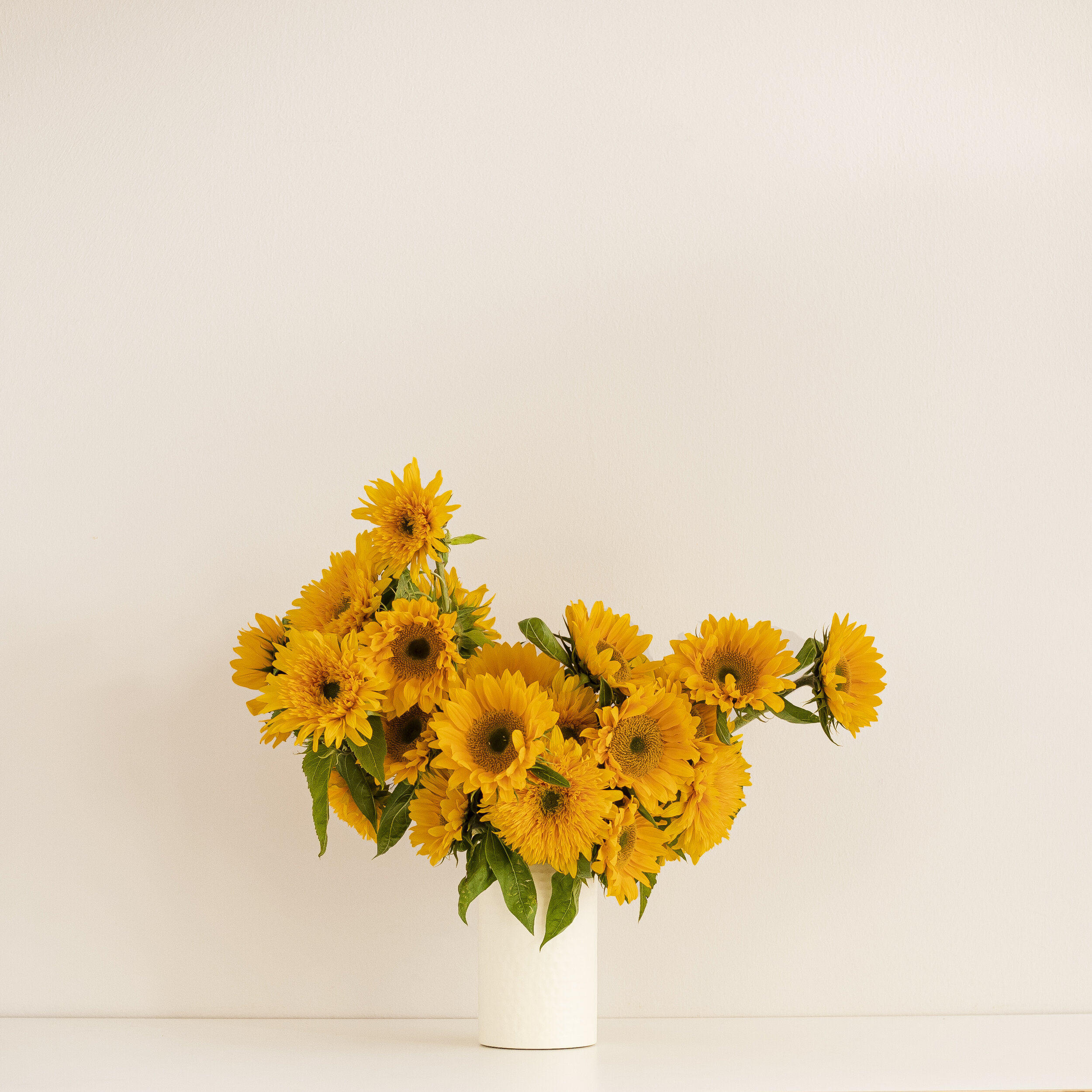 An arrangement of sunflowers sitting in a cream colored vase against a neutral background
