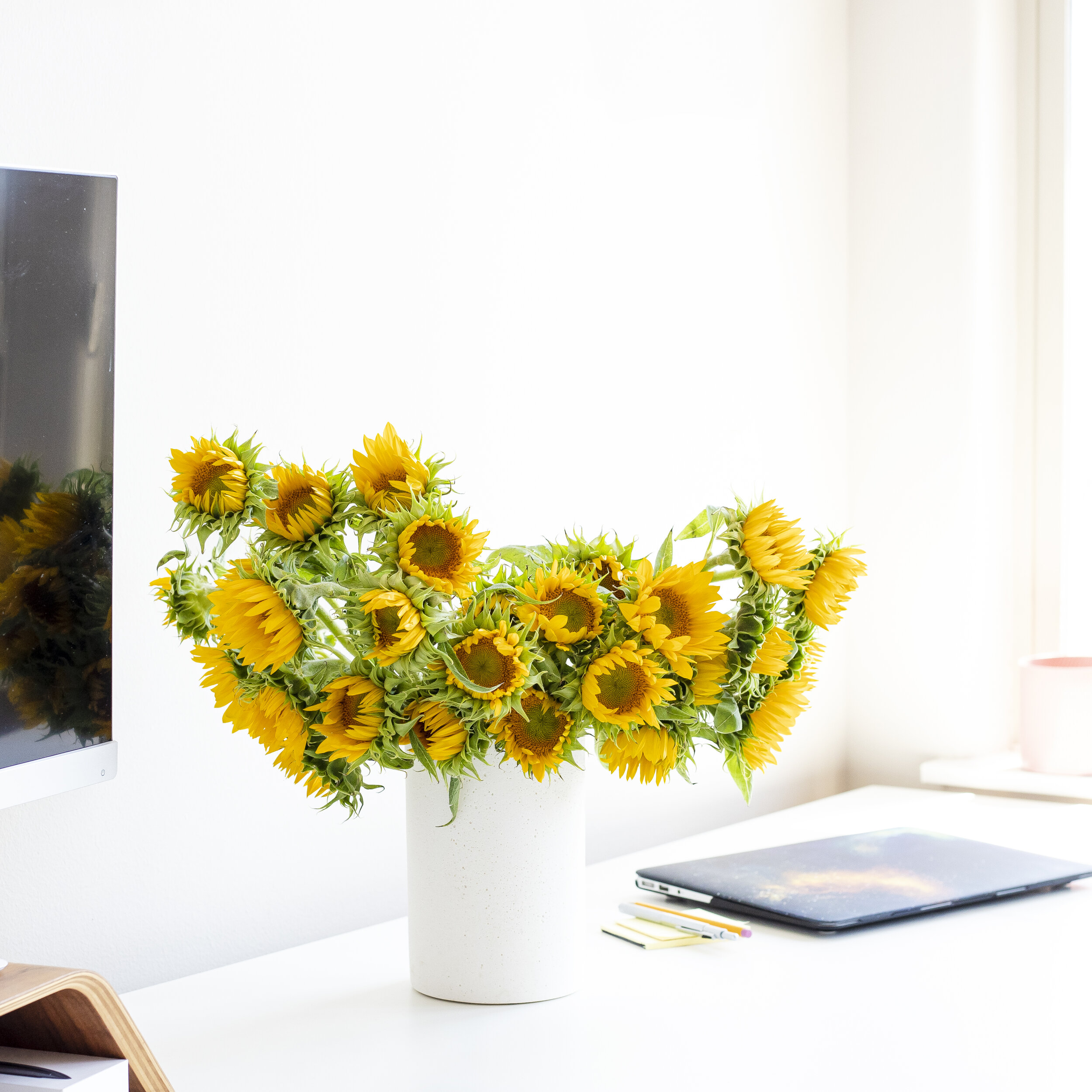 An arrangement of sunflowers in a white vase, sitting on a white desktop with a laptop and pens beside it.