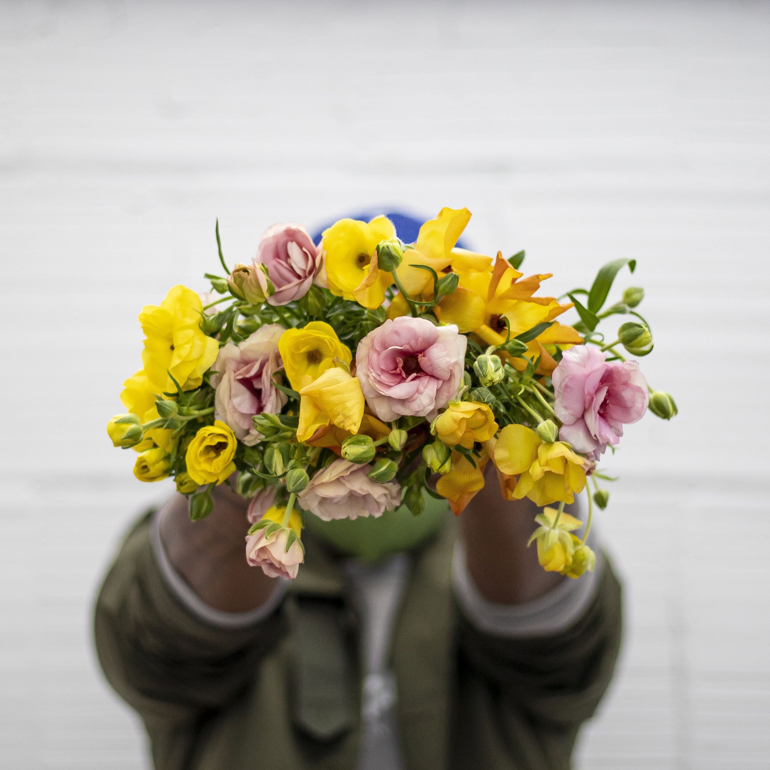 A bouquet of yellow and light pink Butterfly Ranunculus stems being pointed toward the camera