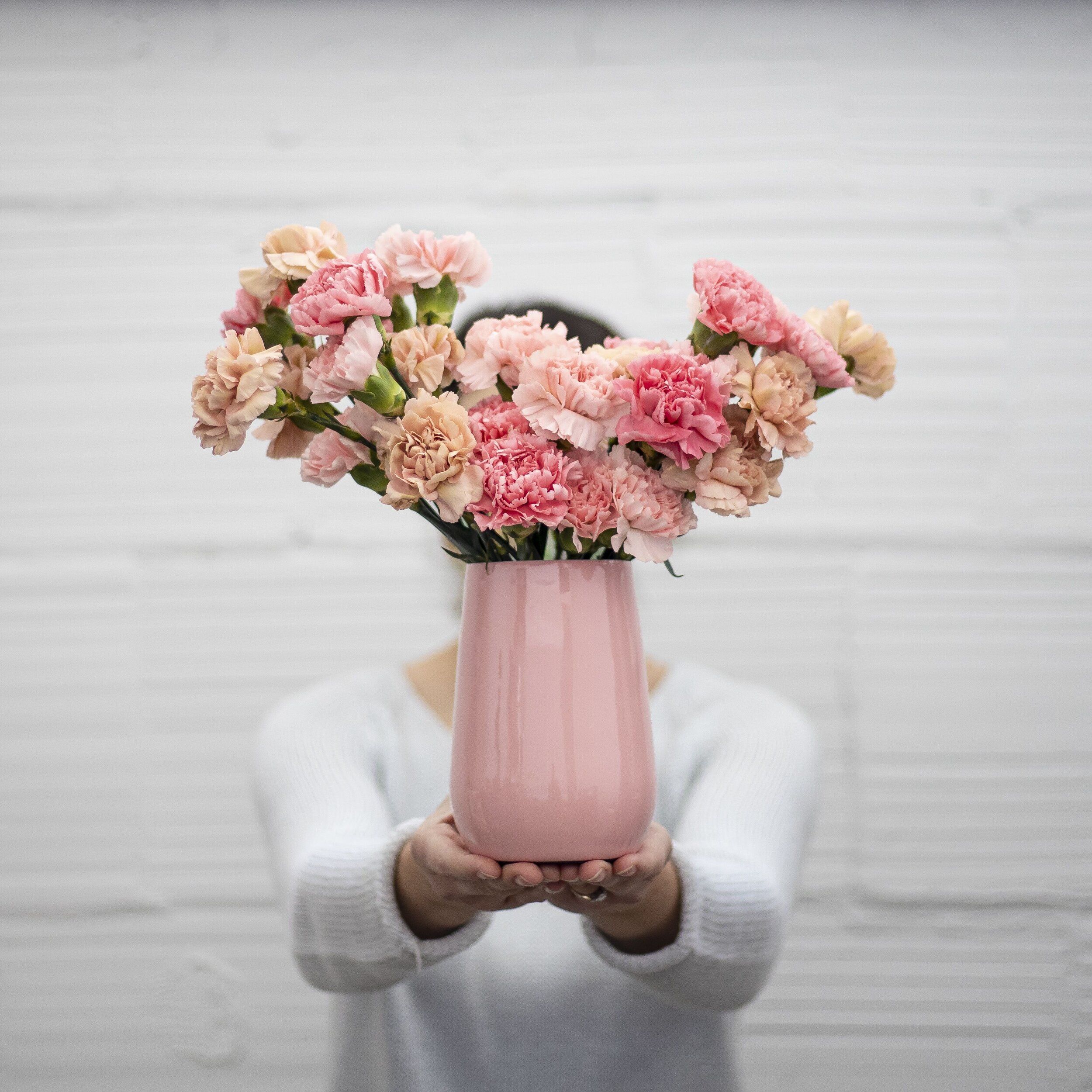 Light pink and medium pink carnations in a pink vase being held up in front of a white wall