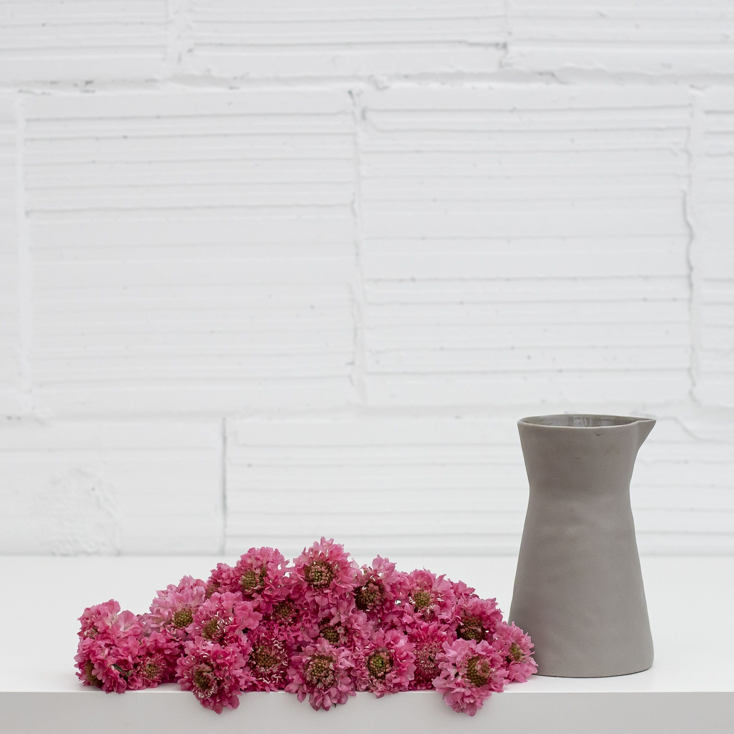 A bunch of pink scabiosa flowers laying flat with a stone vase placed beside them