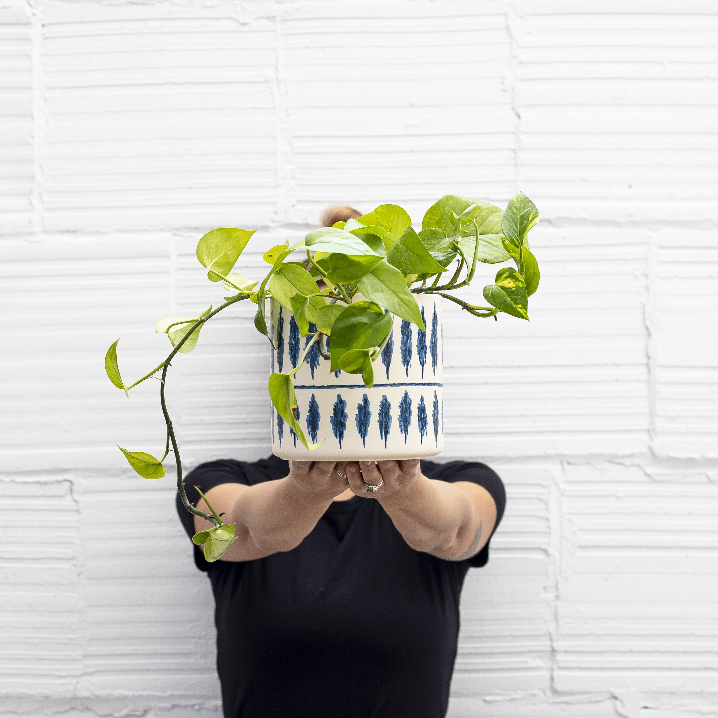 A green Pothos plant in a white and navy blue patterned pot being held up by a person in front of a white concrete wall