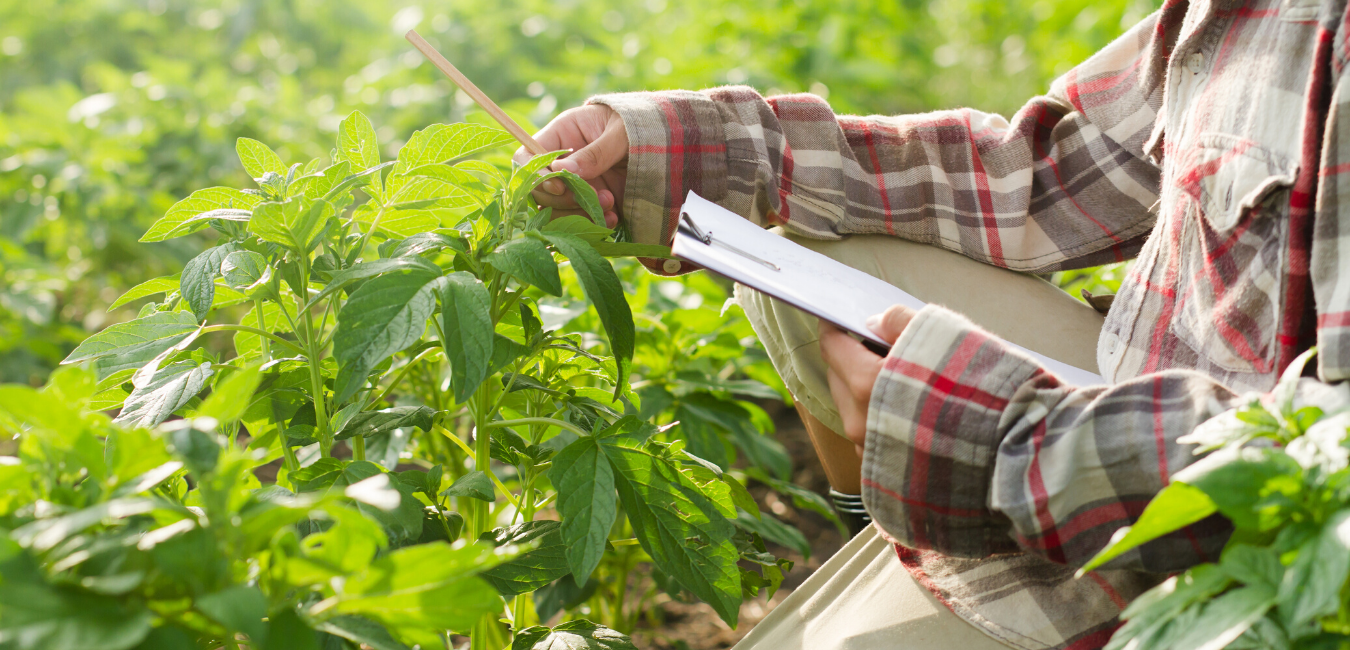 About Us — Godfrey Nursery Inc.