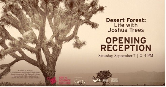 Desert Forest: Life with Joshua Trees, MOAH, 2024