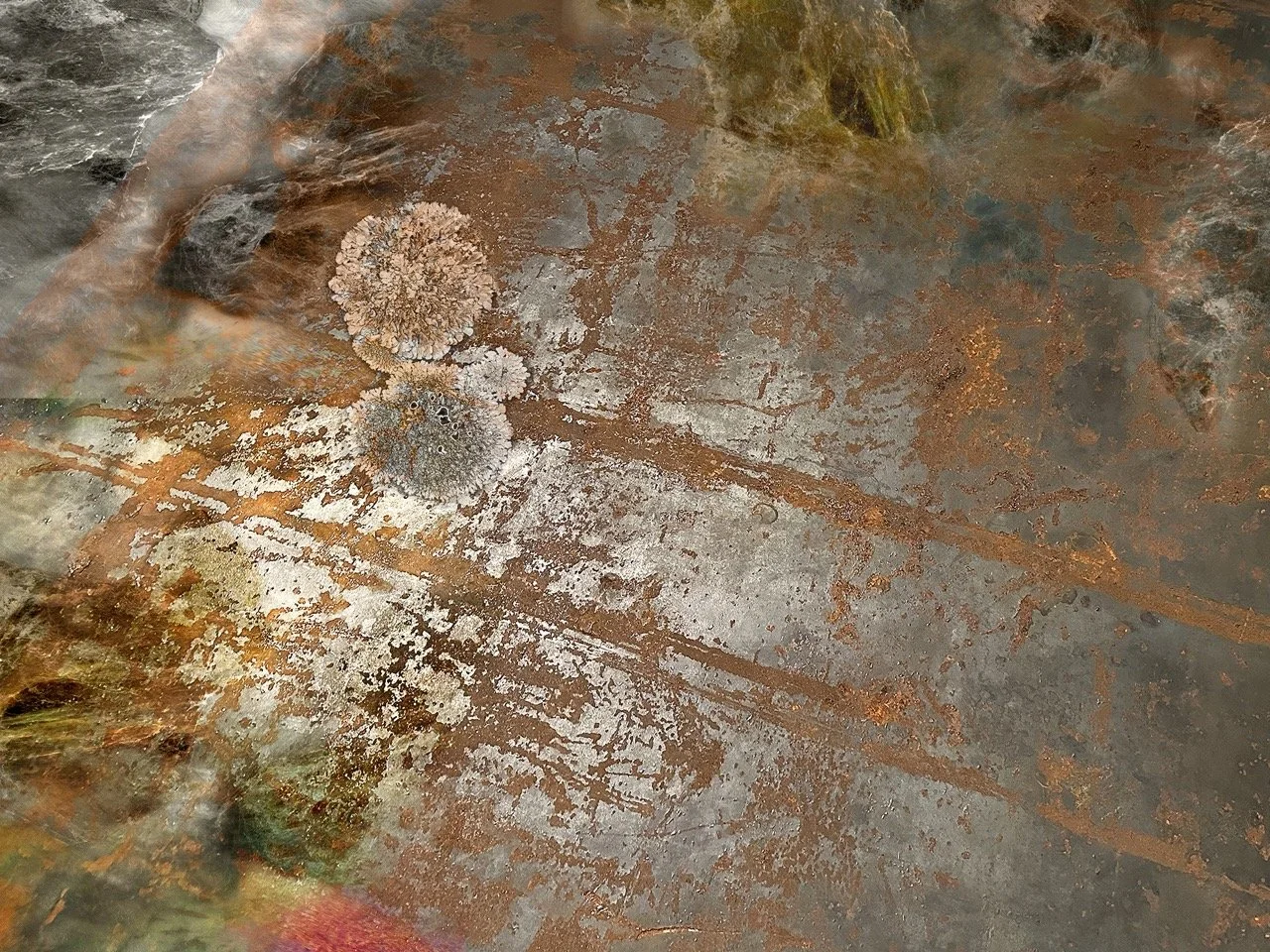 Closer Still, 36 x48”, Painted aluminum, 2024