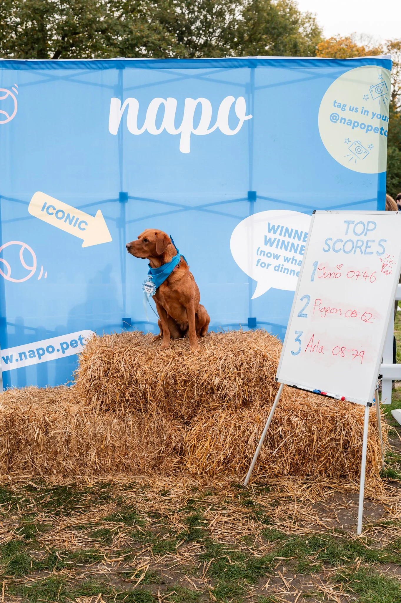 pt2 Napo Dog Fete 2024-1520.jpg