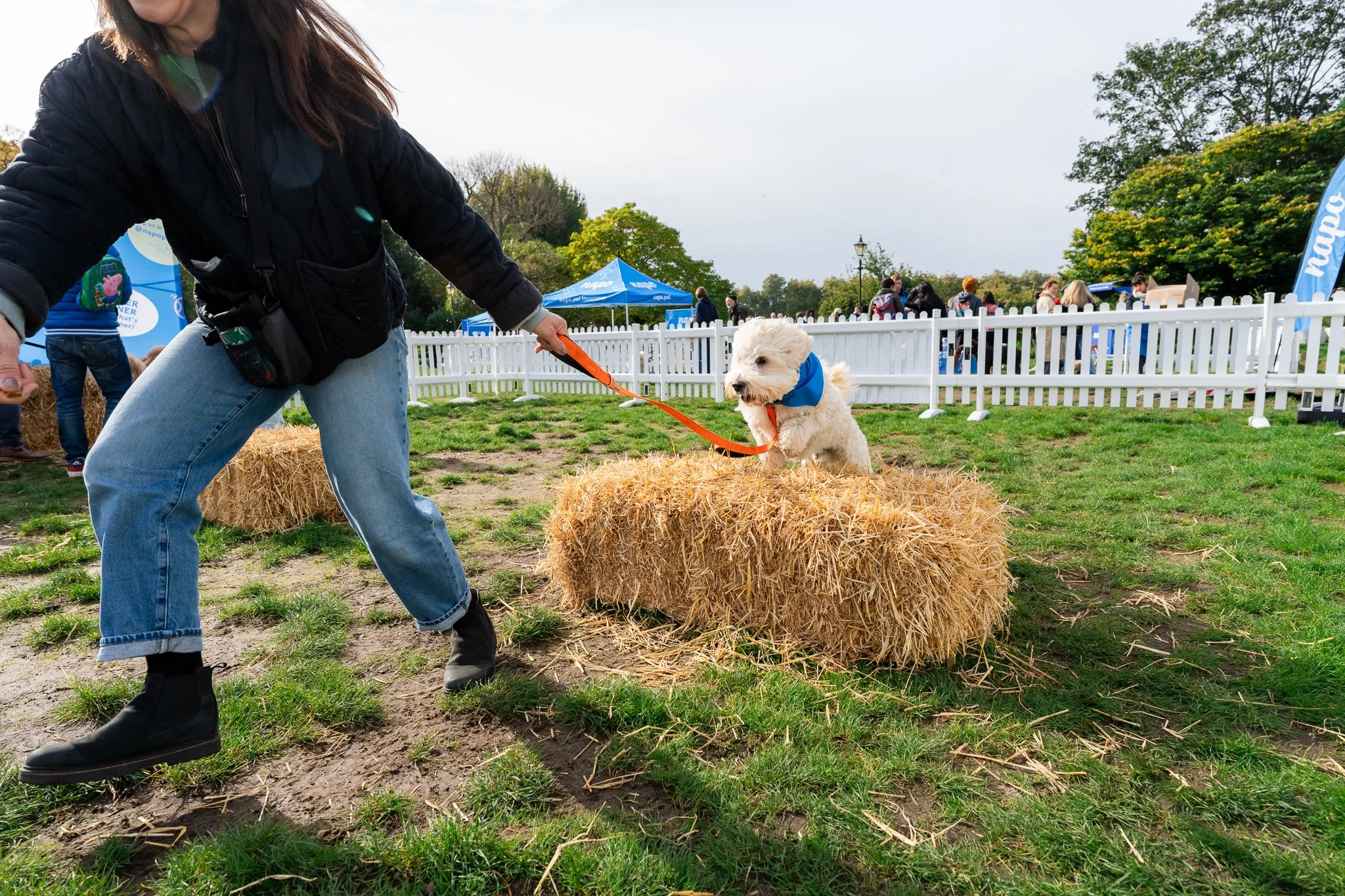 Napo Dog Fete 2024-1035.jpg