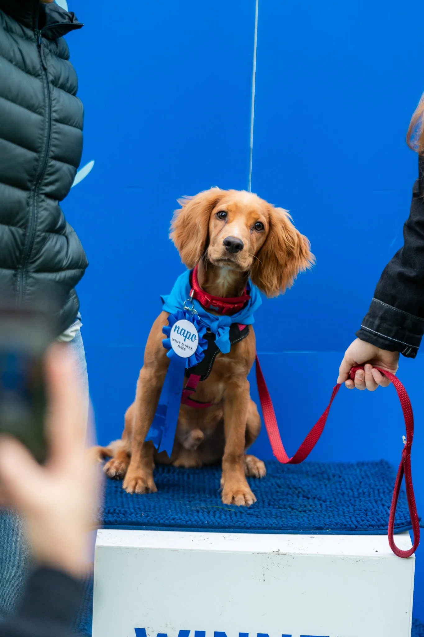 Napo Dog Fete 2024-93.jpg